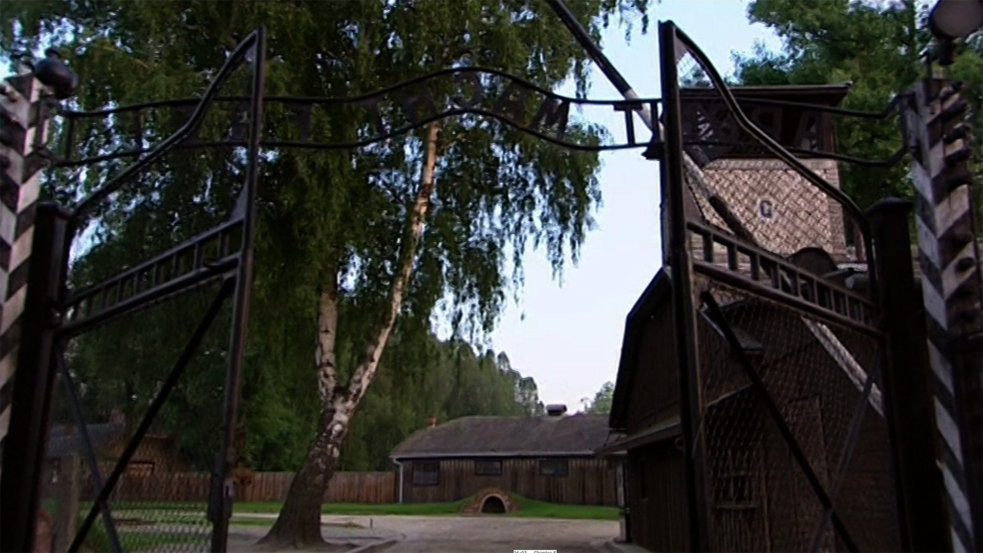 Auschwitz: Inside the Nazi State background