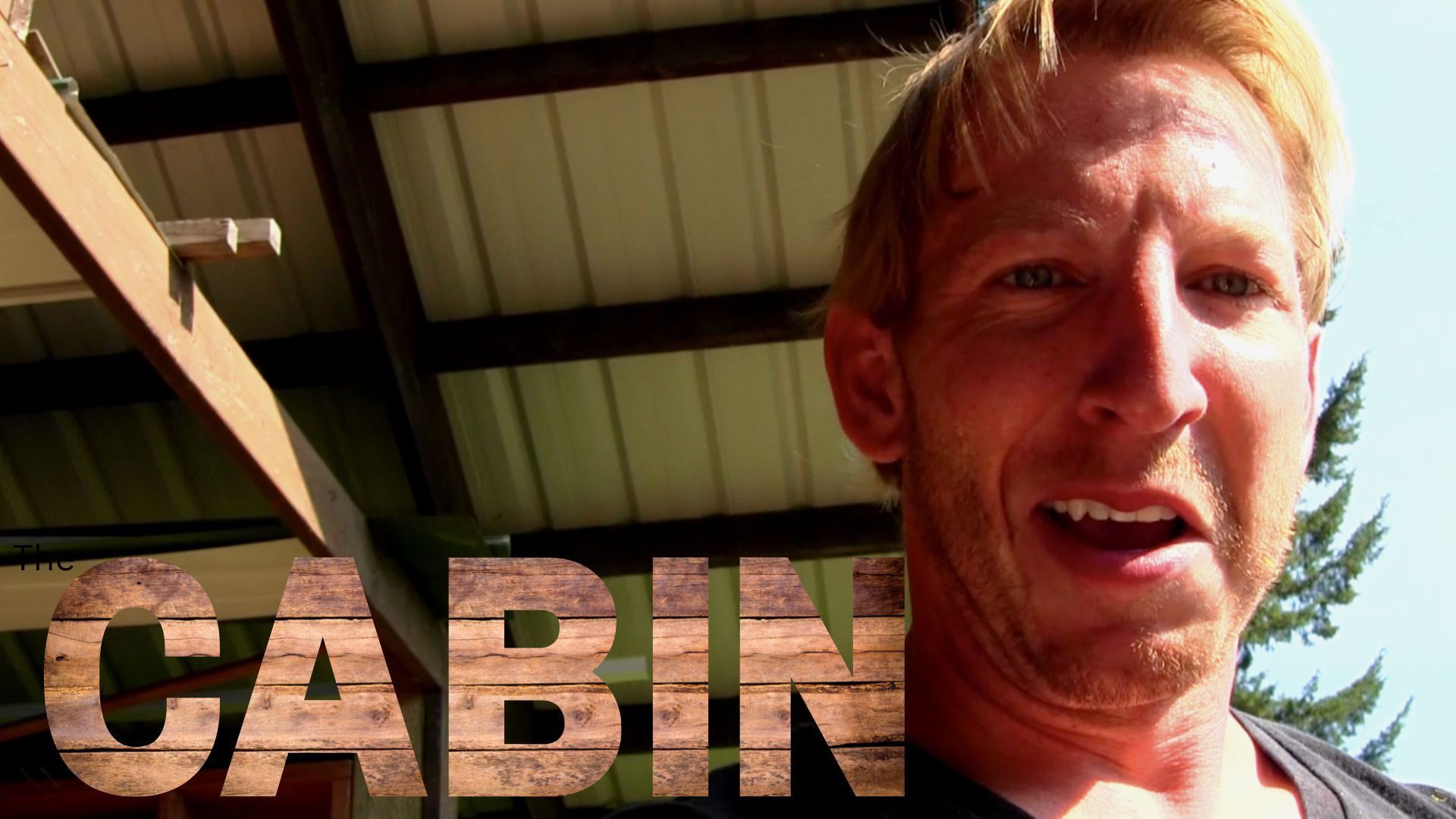 The Cabin background