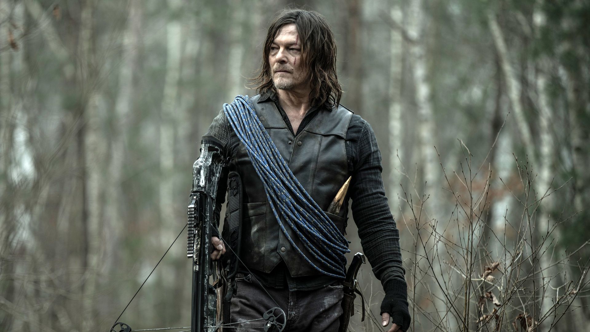 The Walking Dead: Daryl Dixon background