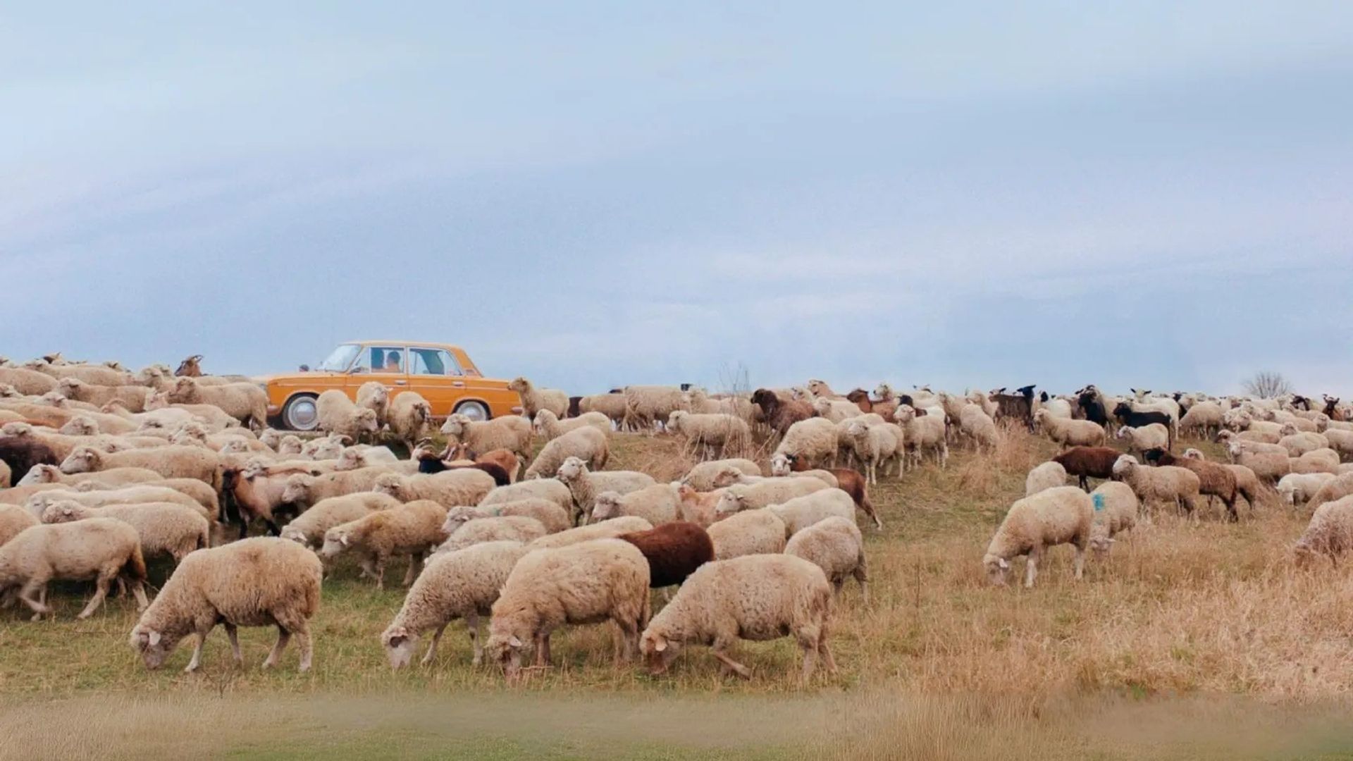 Lost in Moldova background