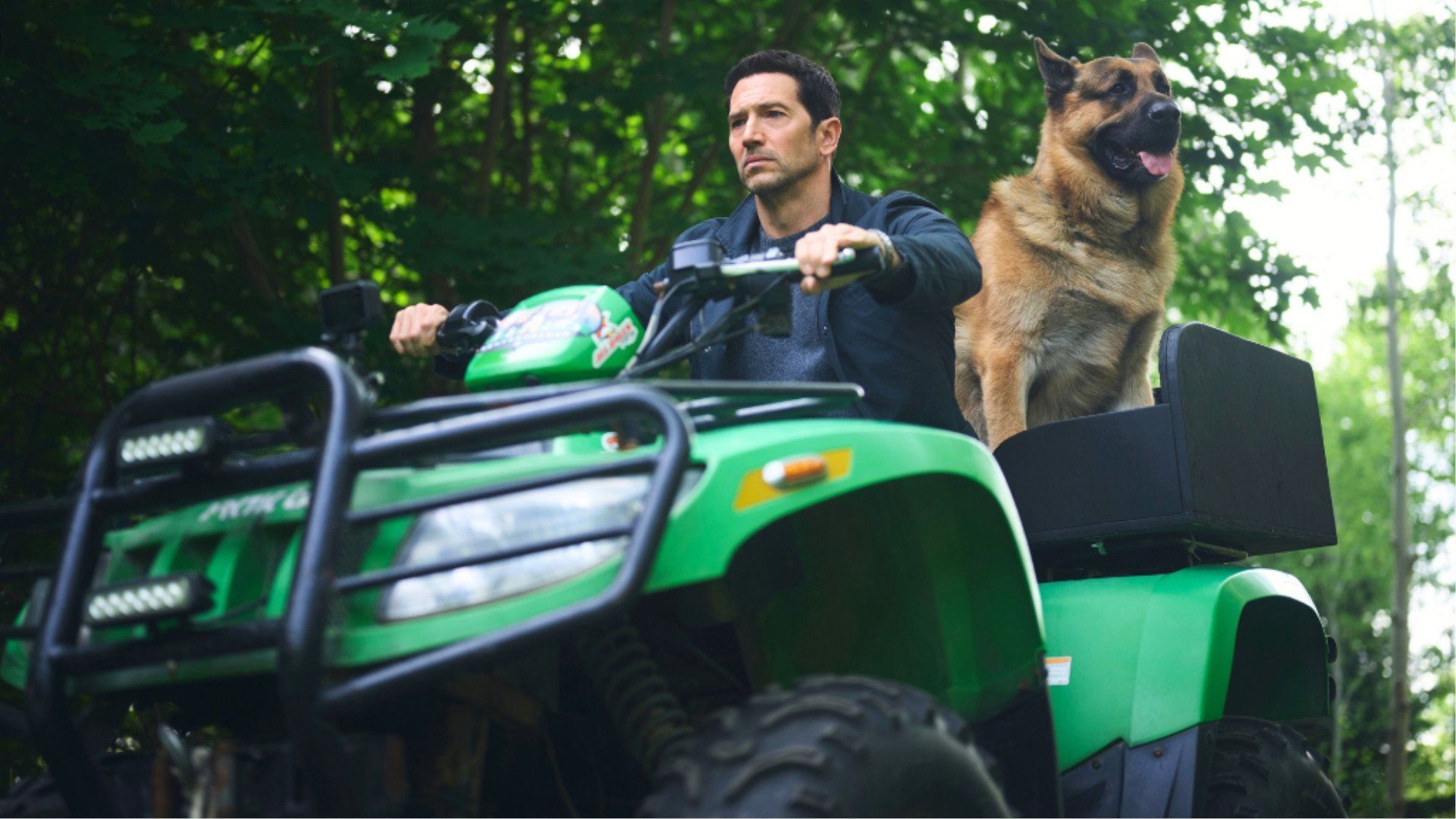 Hudson & Rex background