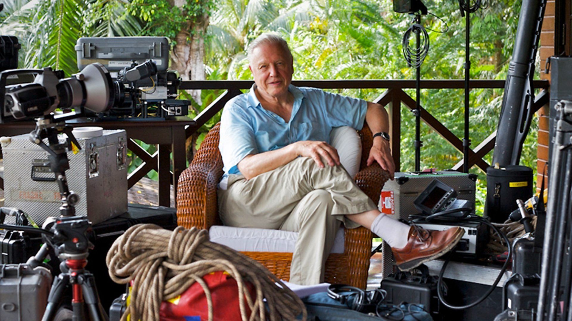 Attenborough: 60 Years in the Wild background