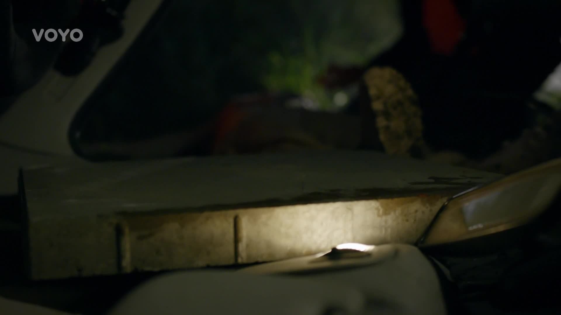 Specialisté background