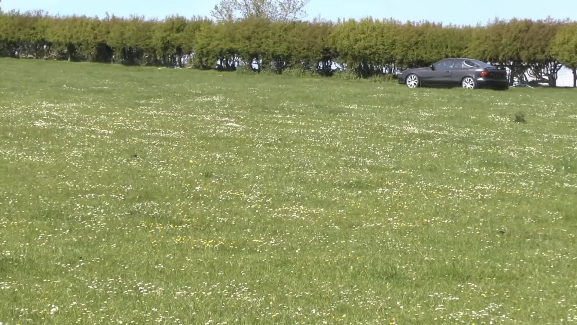 Project Binky background