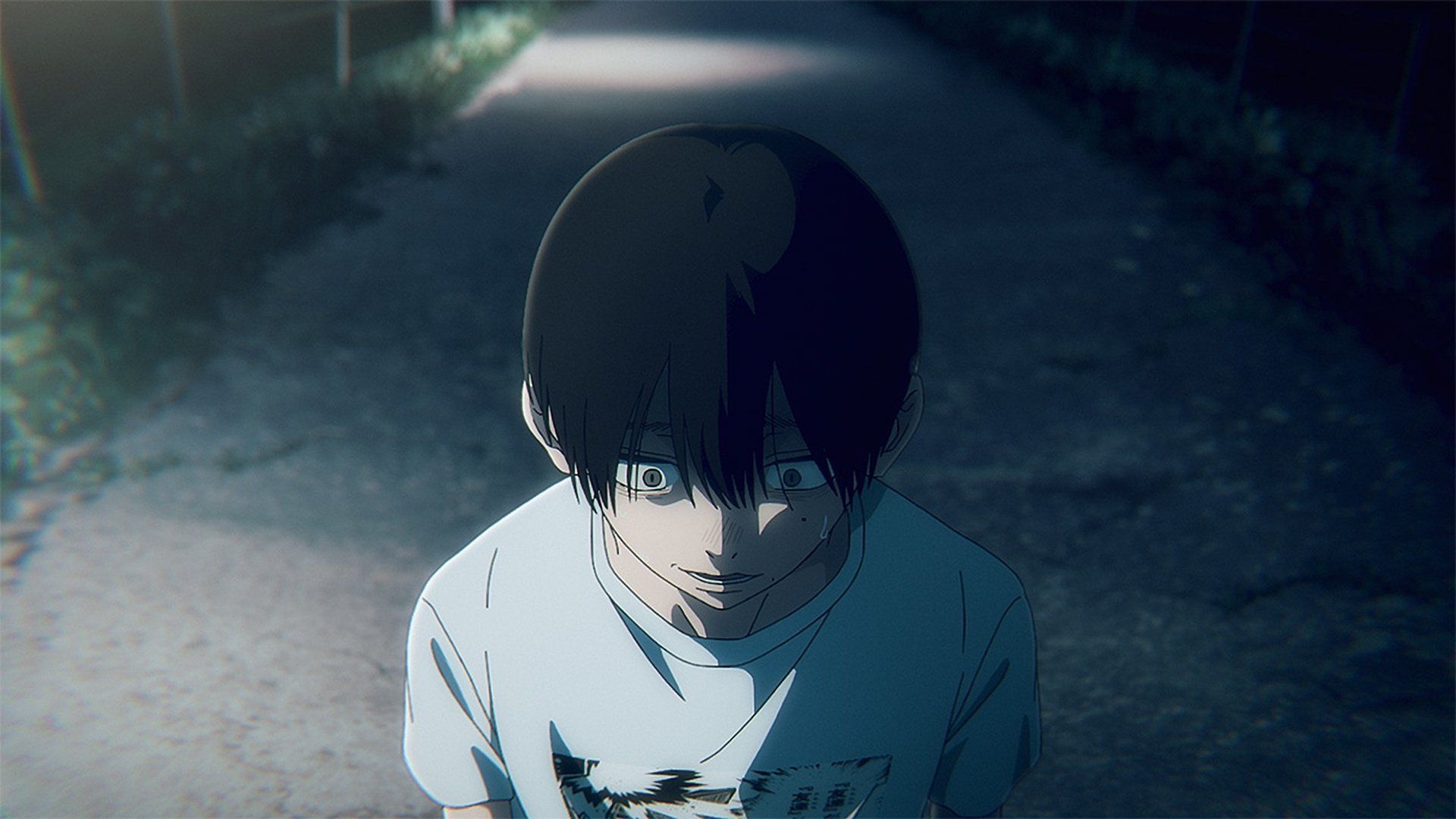 The Summer Hikaru Died background