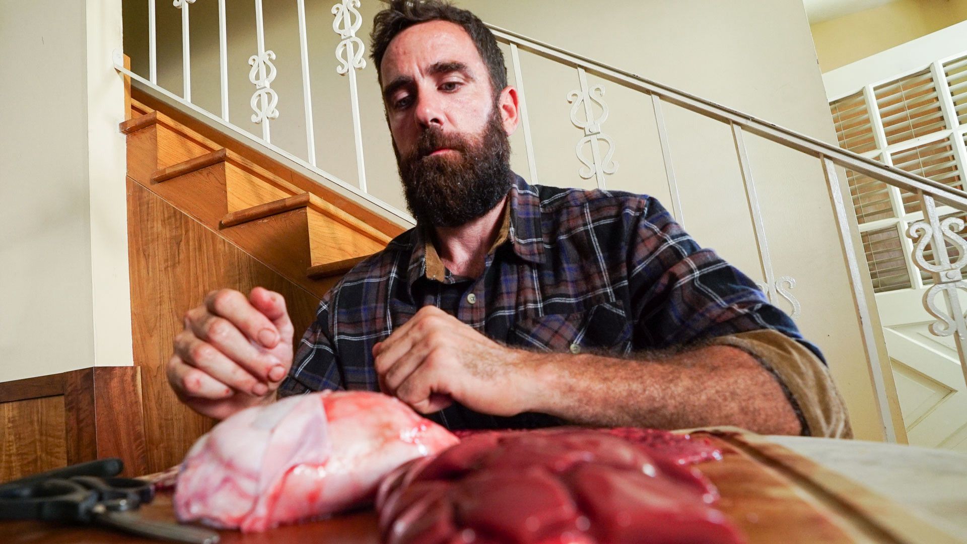 My Strange Addiction: Still Addicted? background