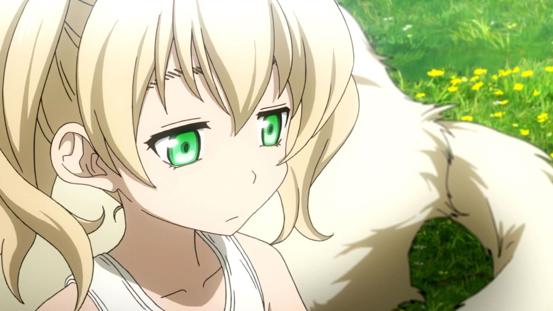 Blood Blockade Battlefront background