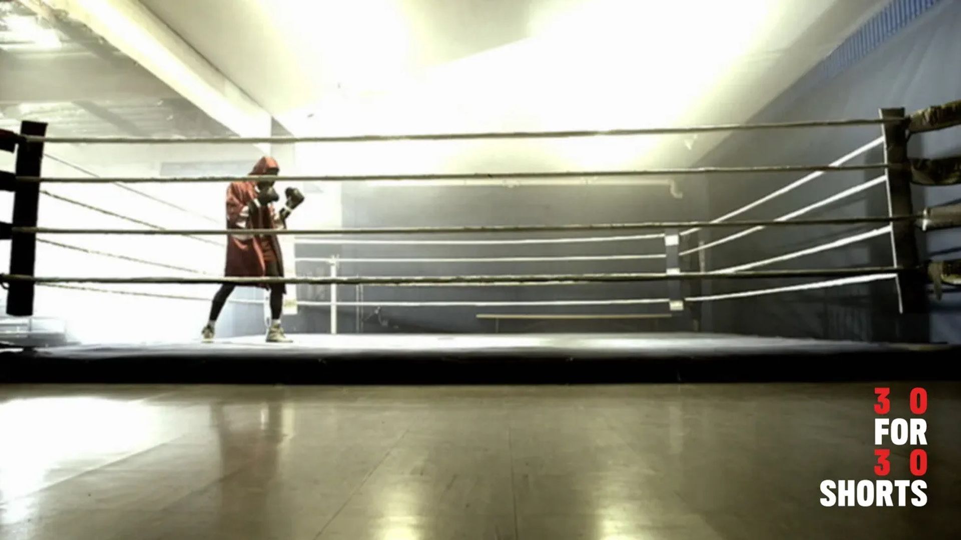 30 for 30 Shorts background