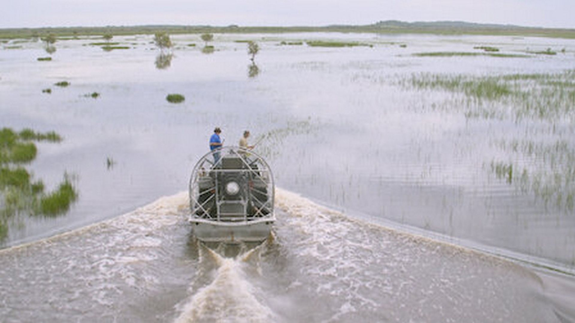 Matt Wright's Wild Territory background