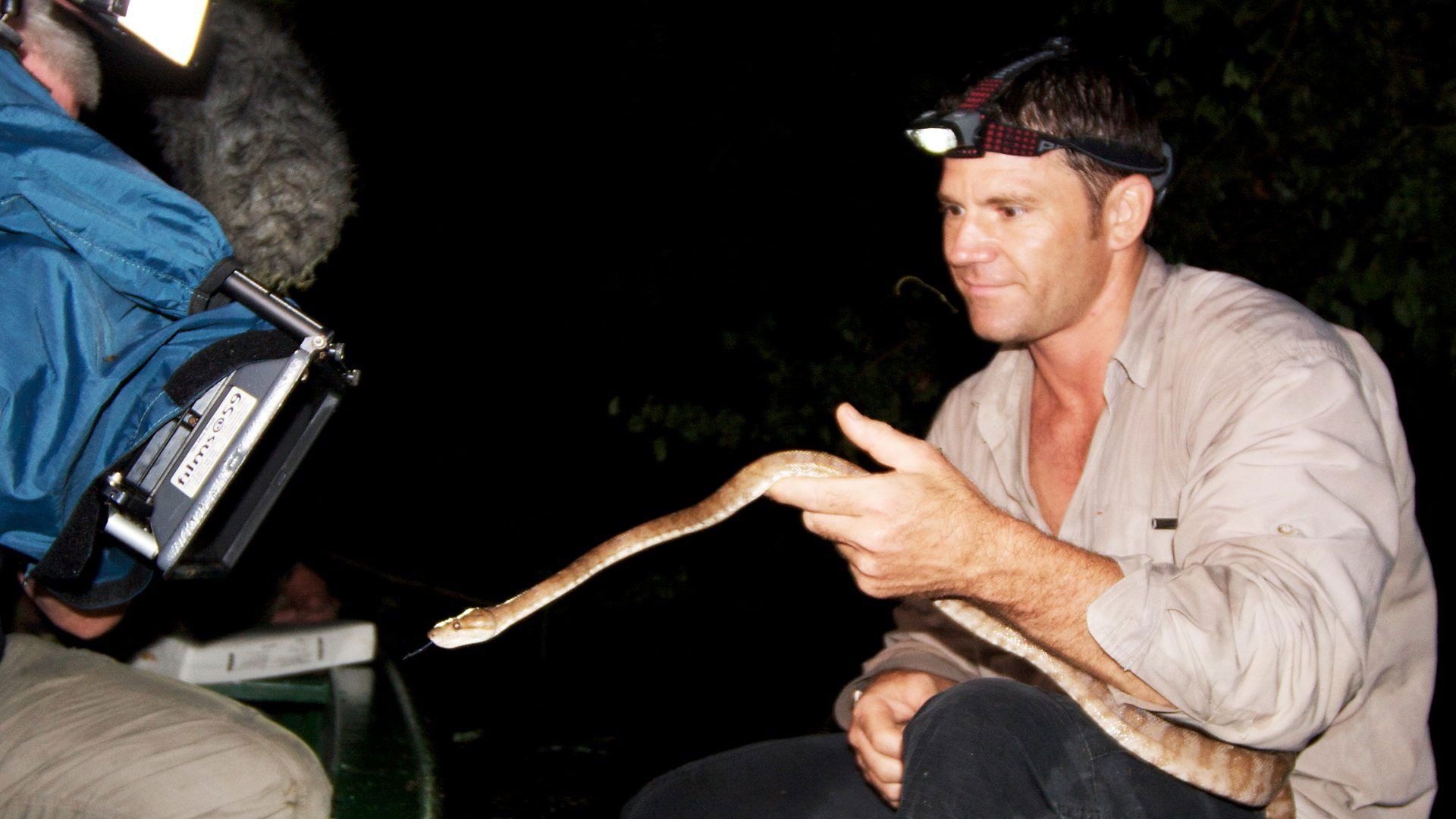 Deadly 60 background