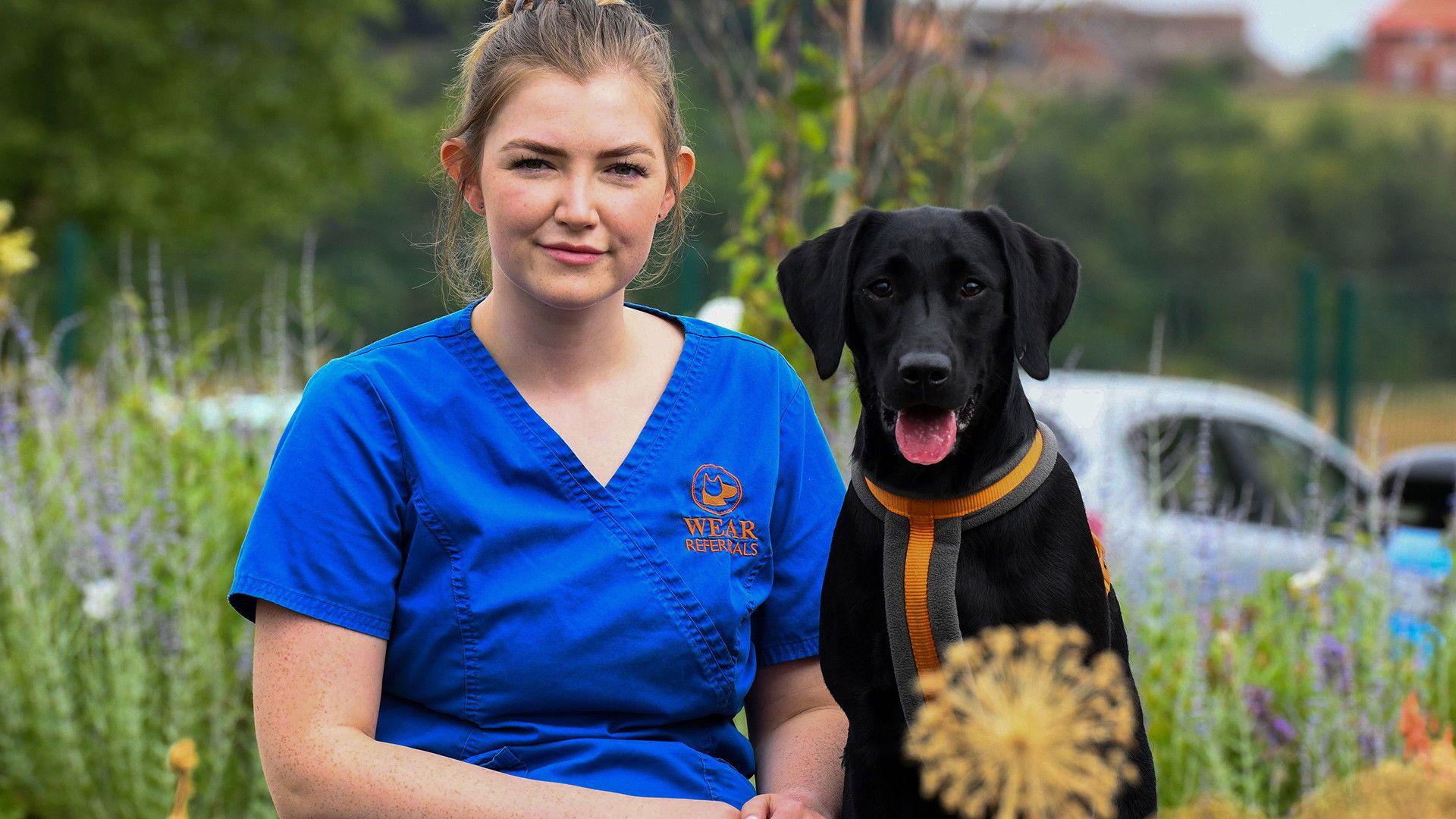 24/7 Pet Hospital background