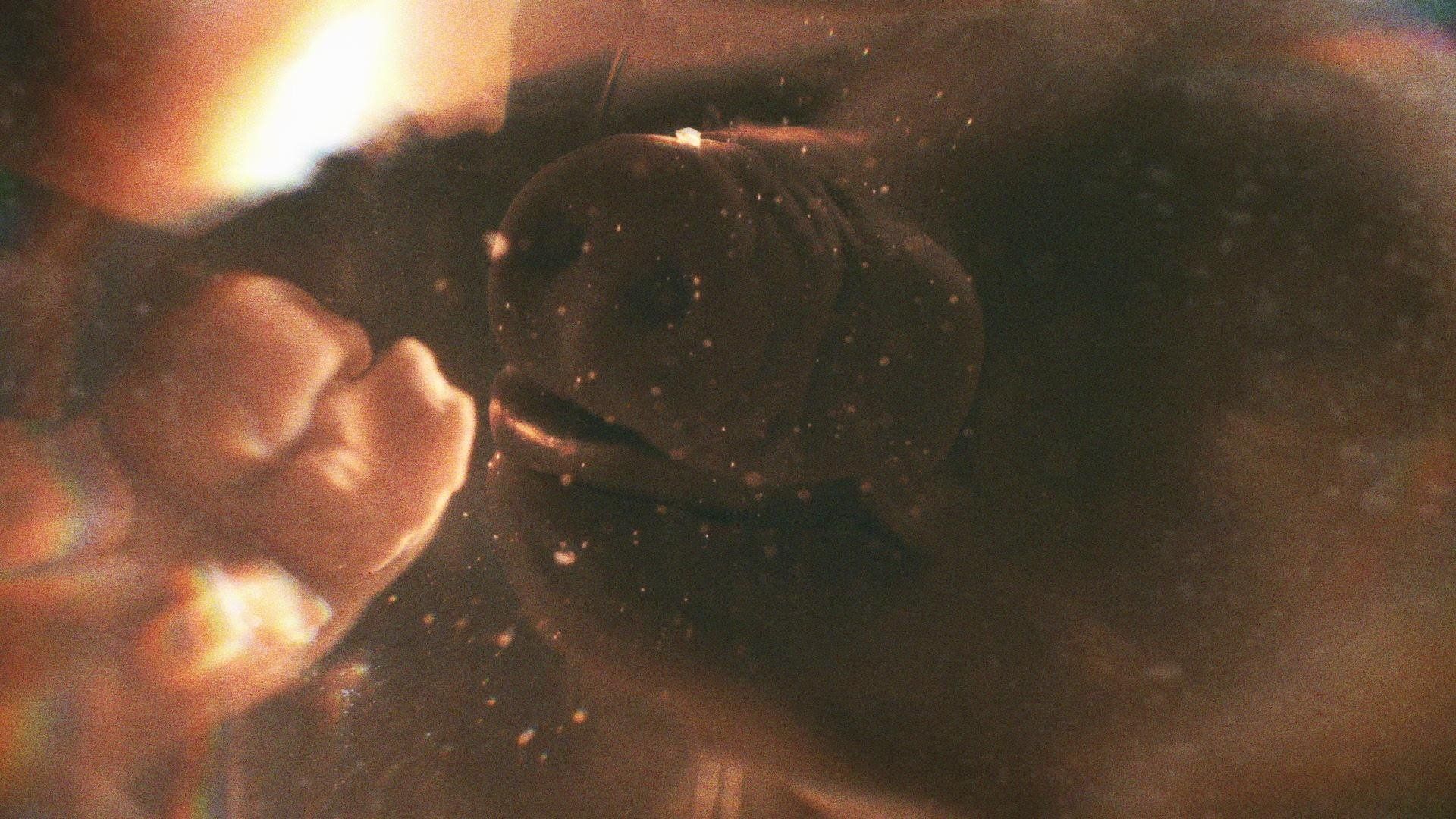 Don't Watch This background