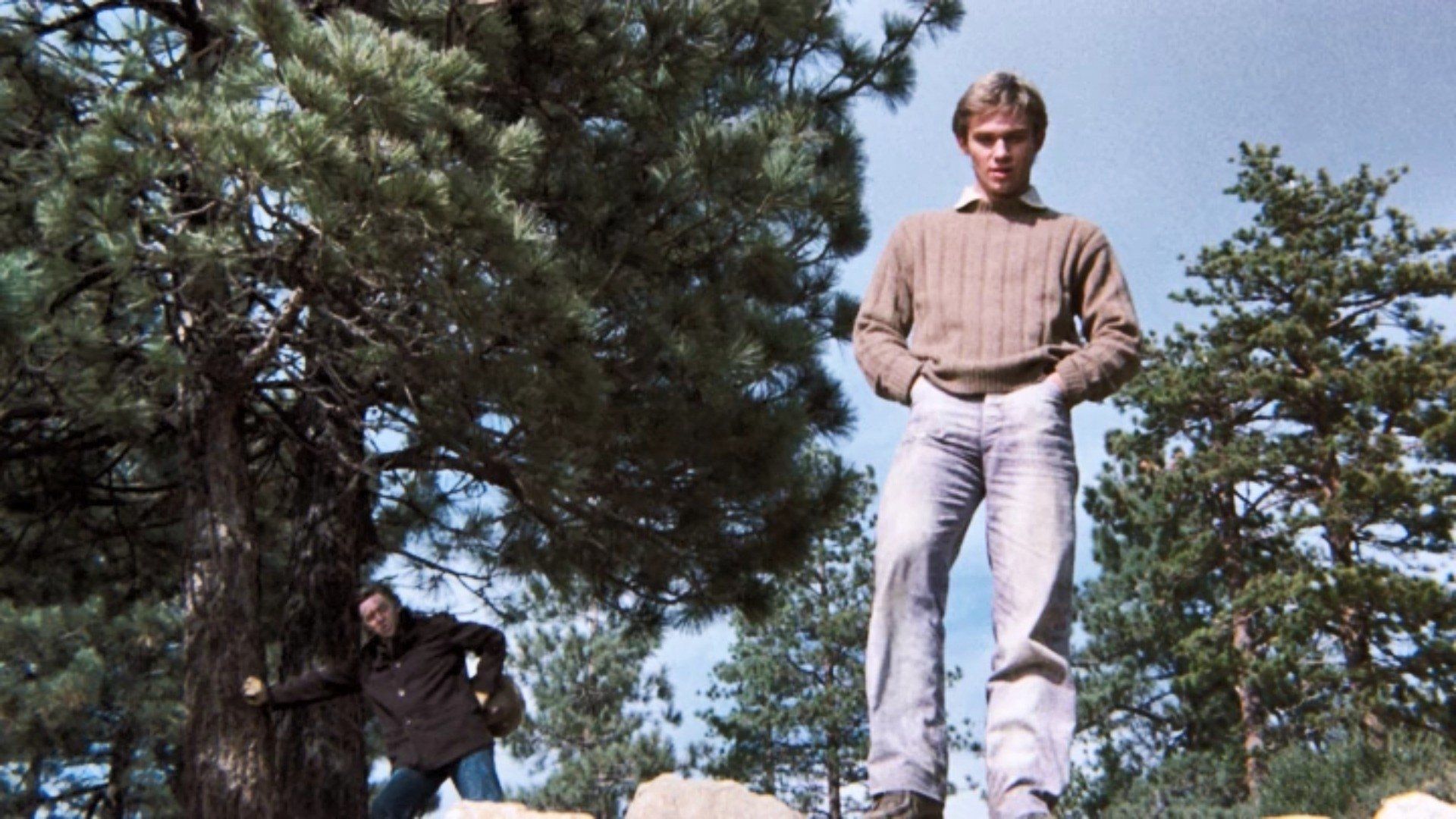 The Waltons background
