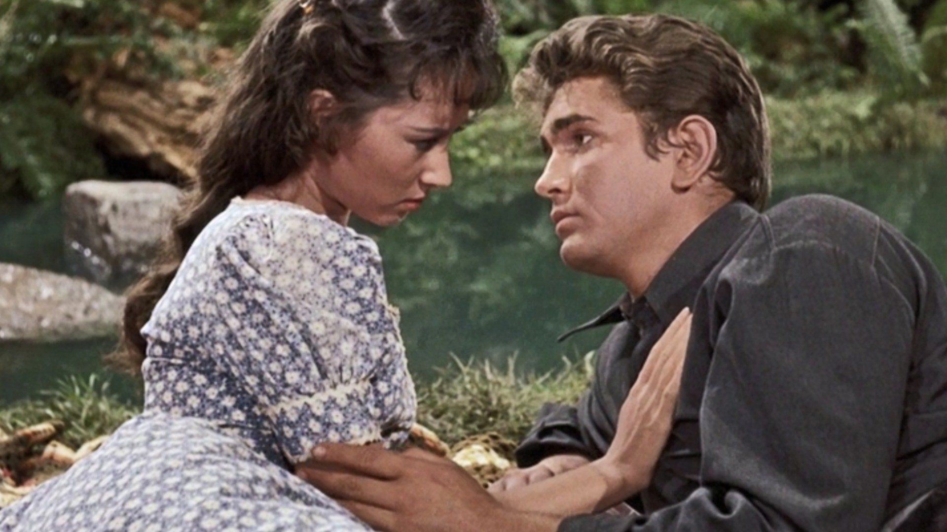 Bonanza background
