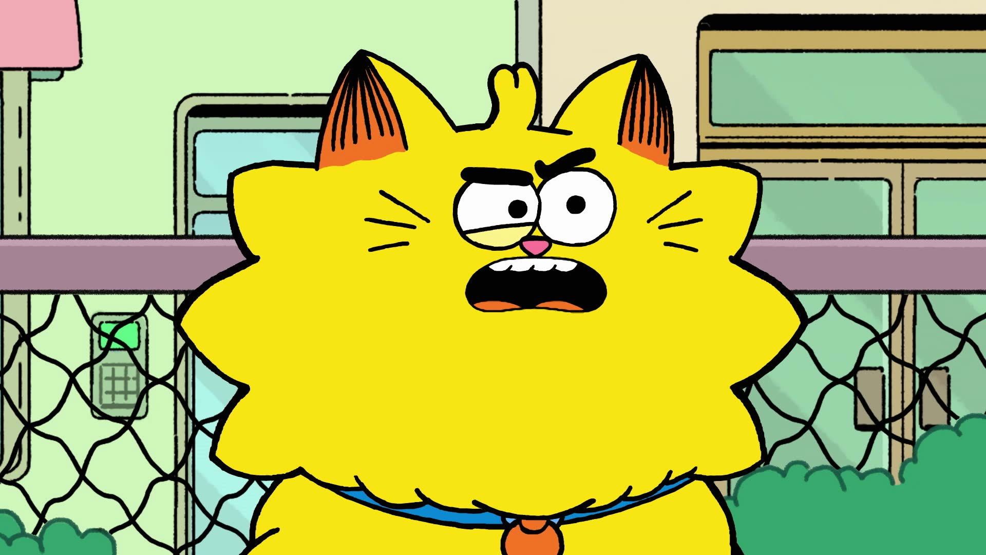 Counterfeit Cat background