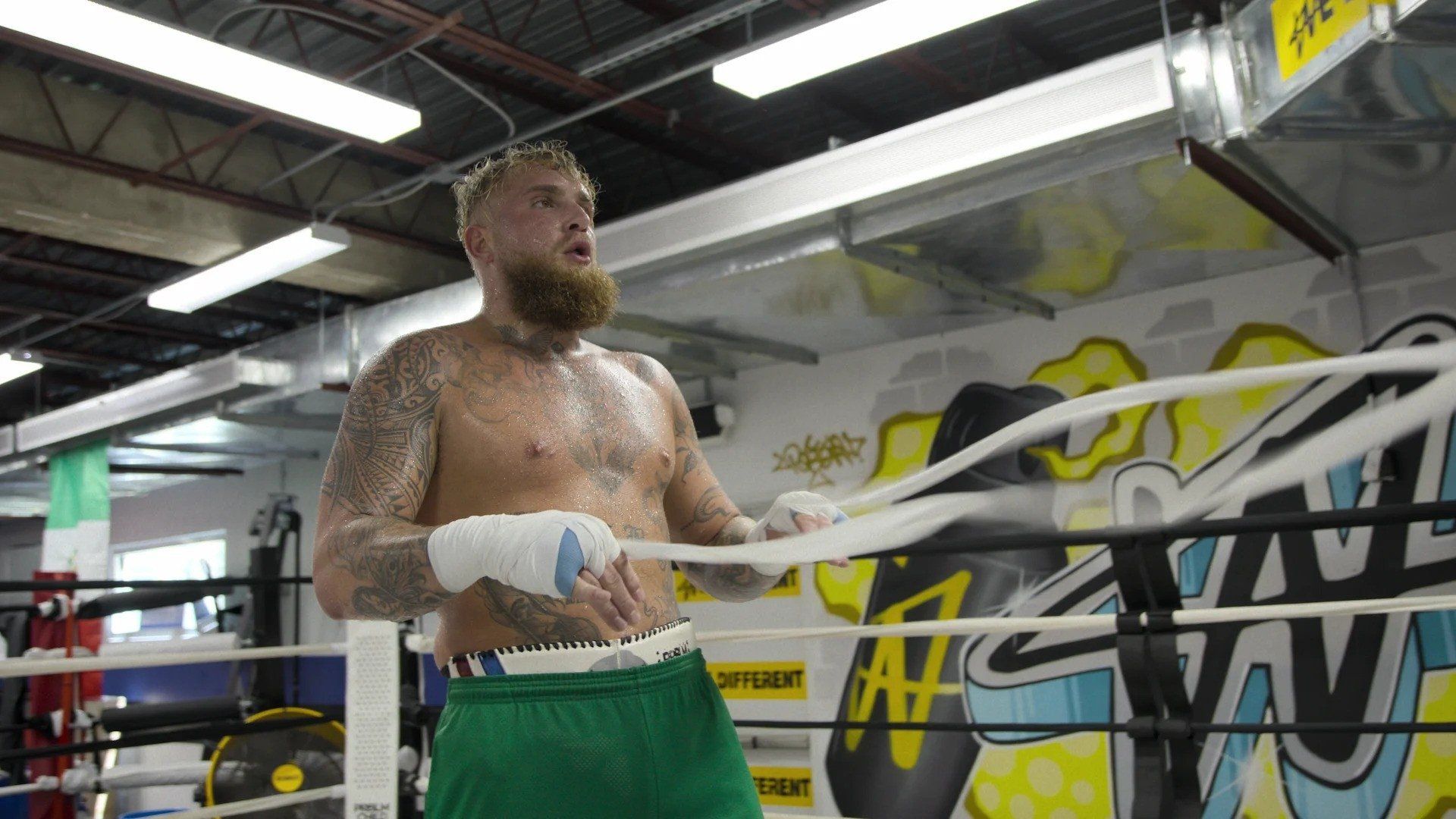 Countdown: Paul vs Tyson background