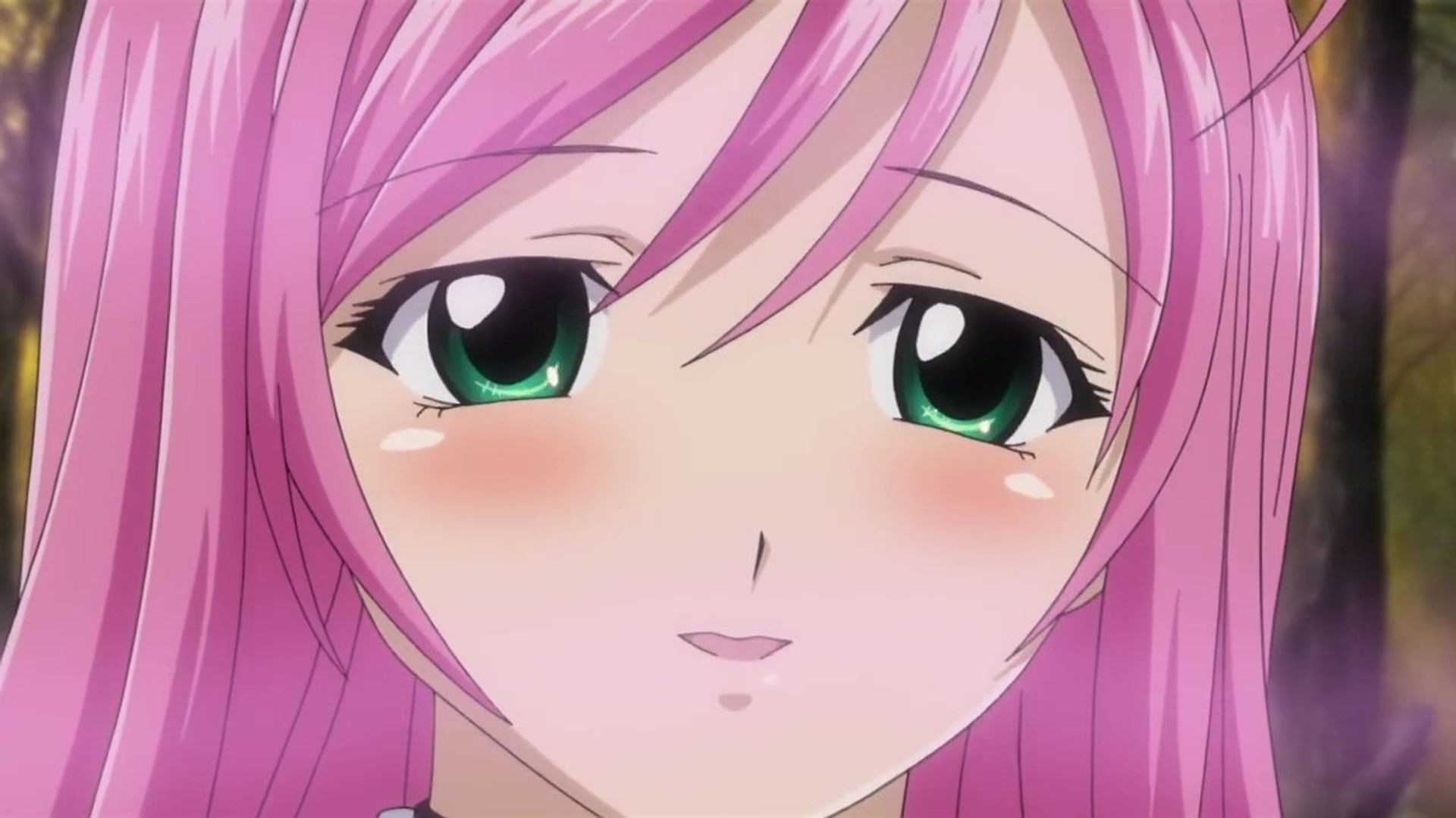 Rosario + Vampire background