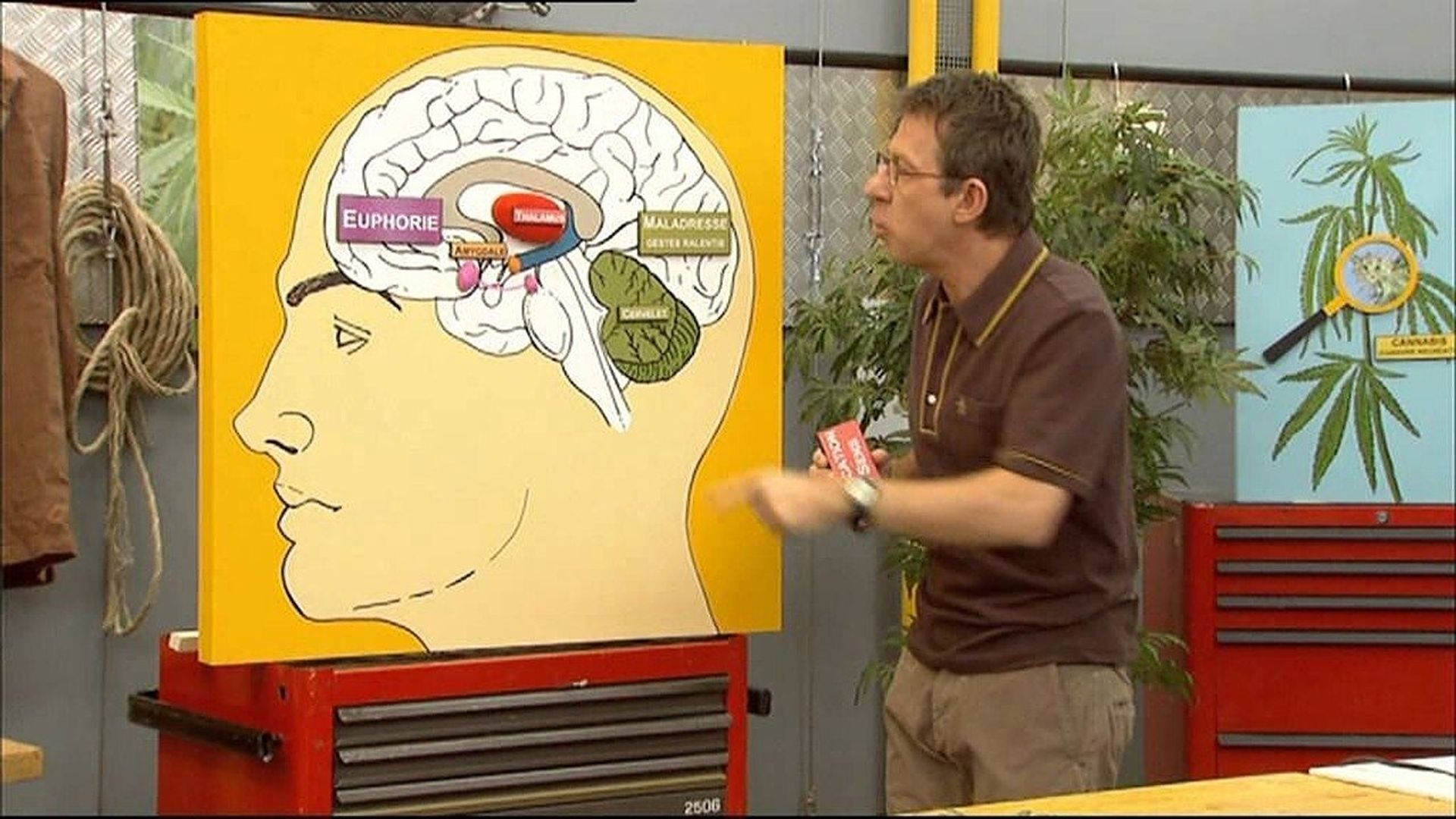 C'est pas sorcier background