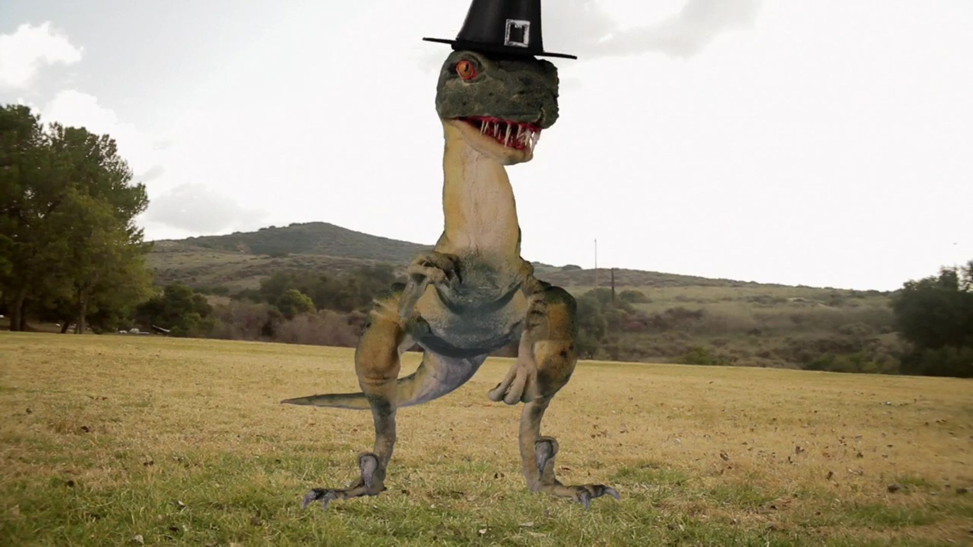 The Aquabats! Super Show! background