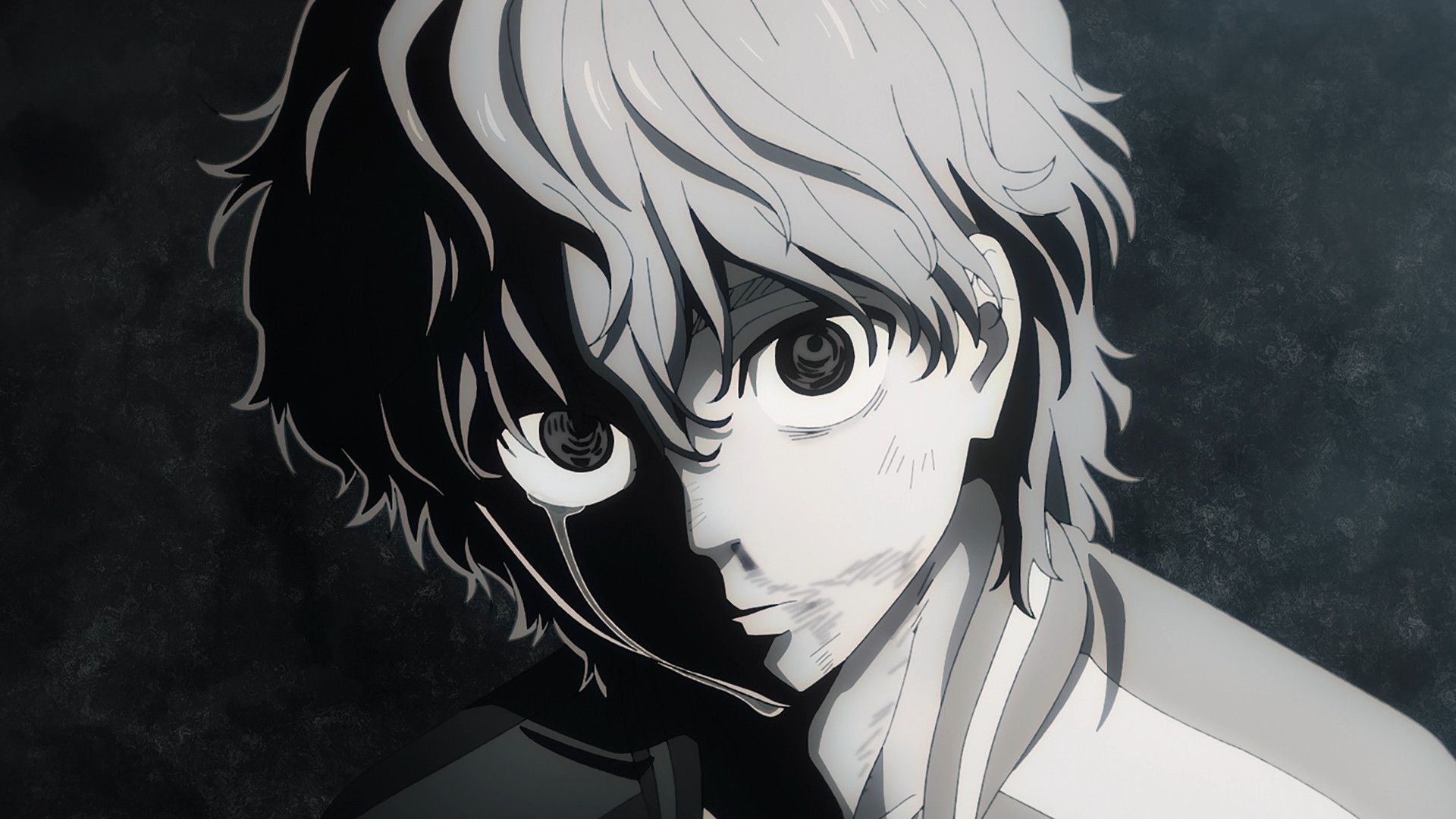 Wind Breaker background