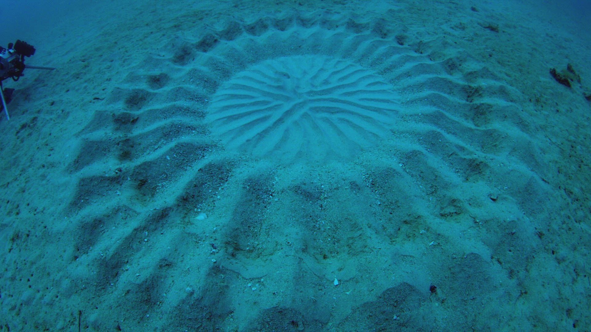 The Proof is Out There background