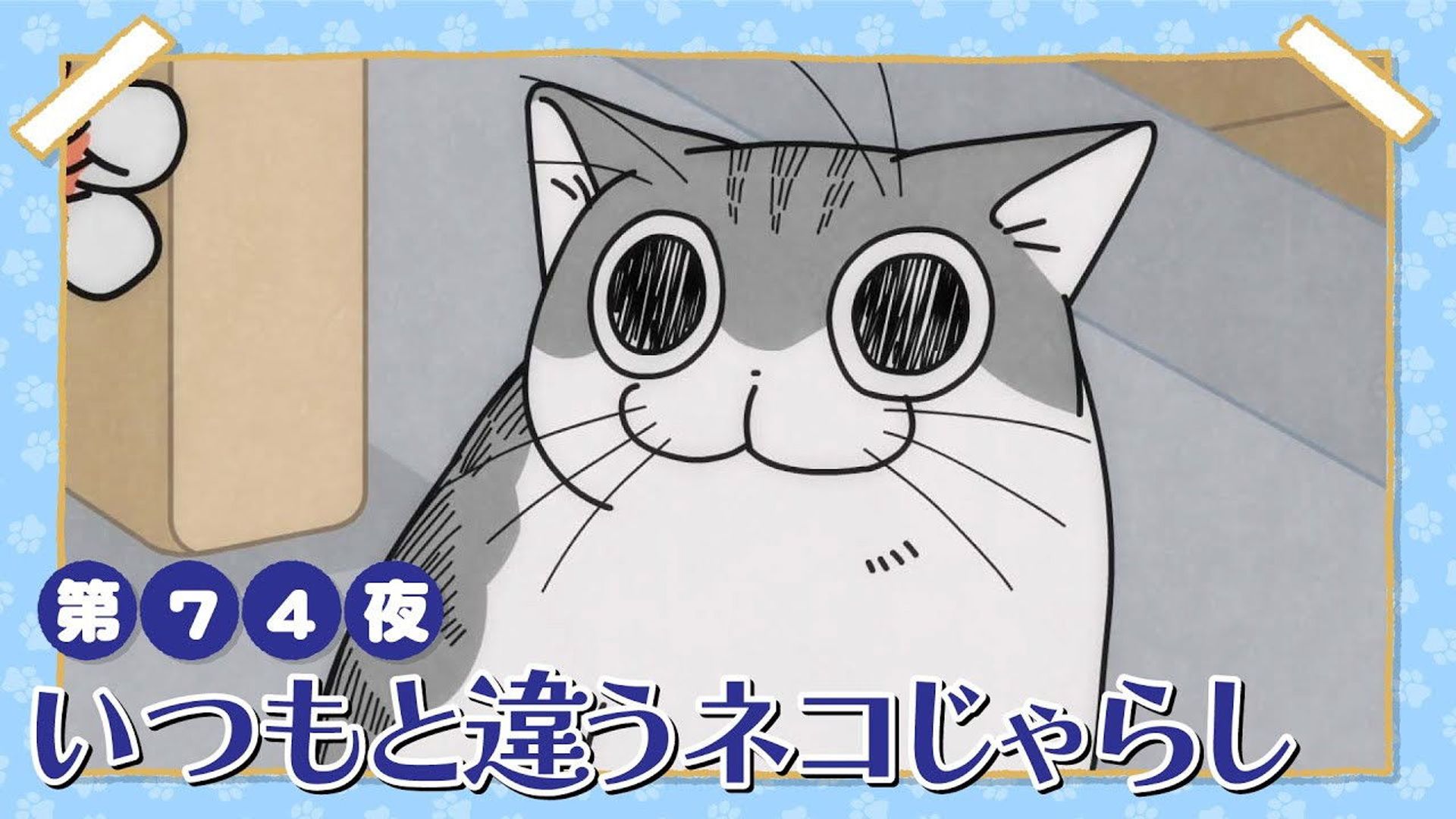 Yoru wa Neko to Issho background