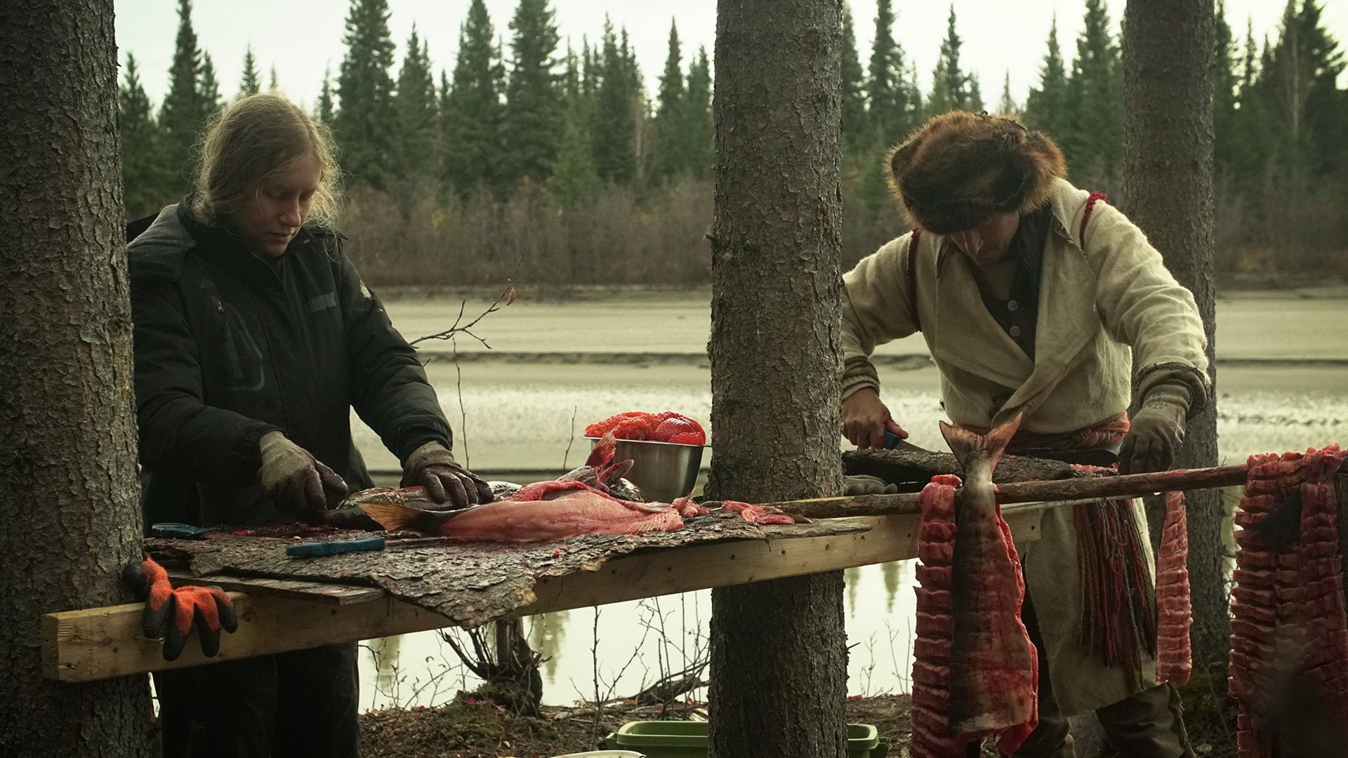 100 Days Wild background