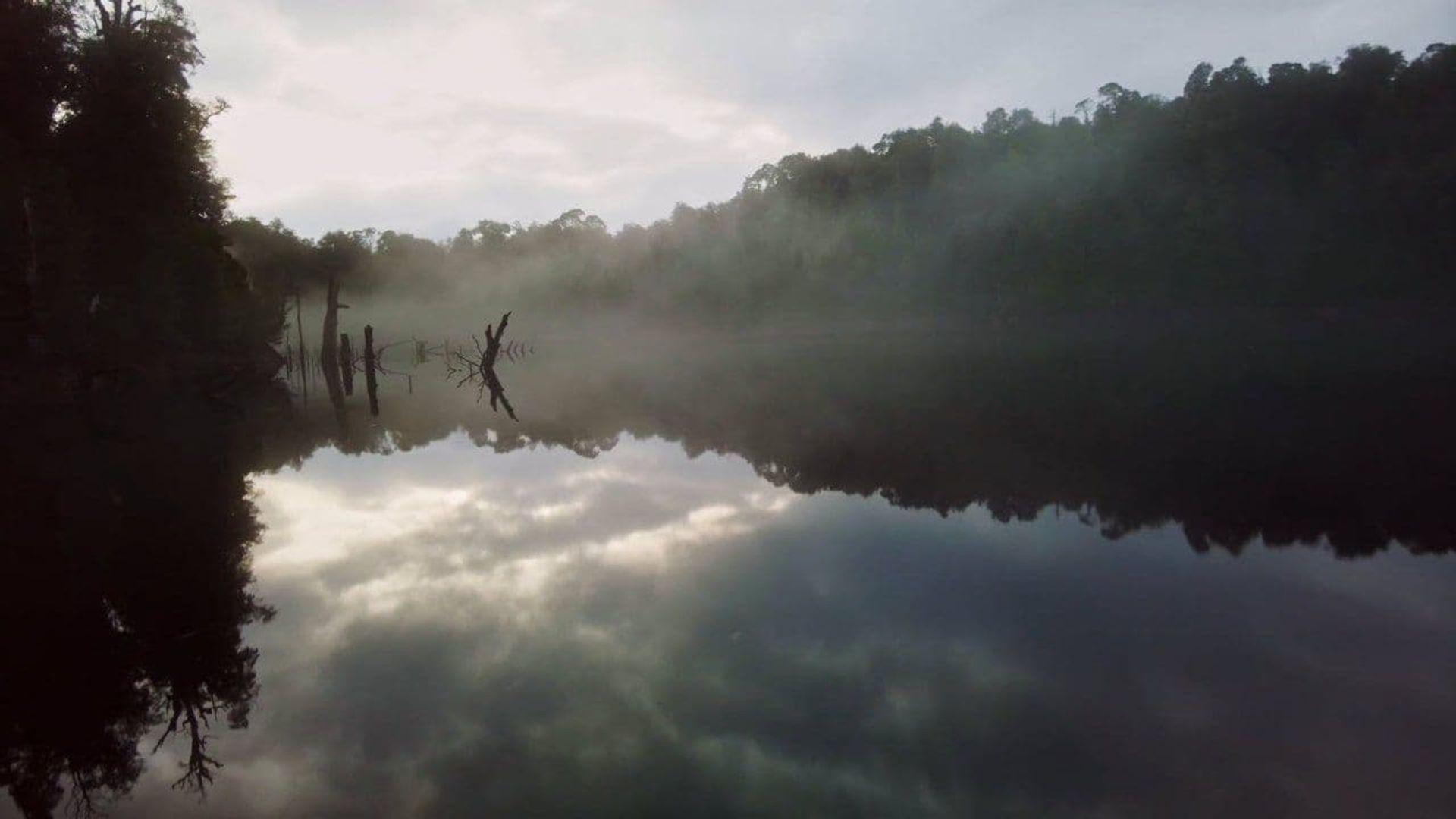 Alone Australia background