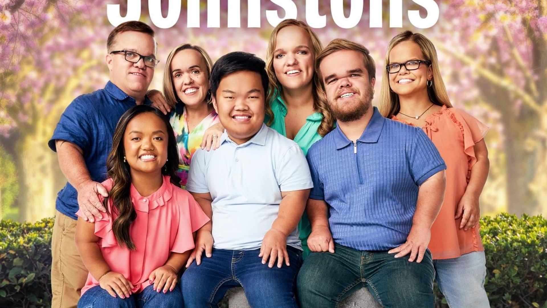 7 Little Johnstons background