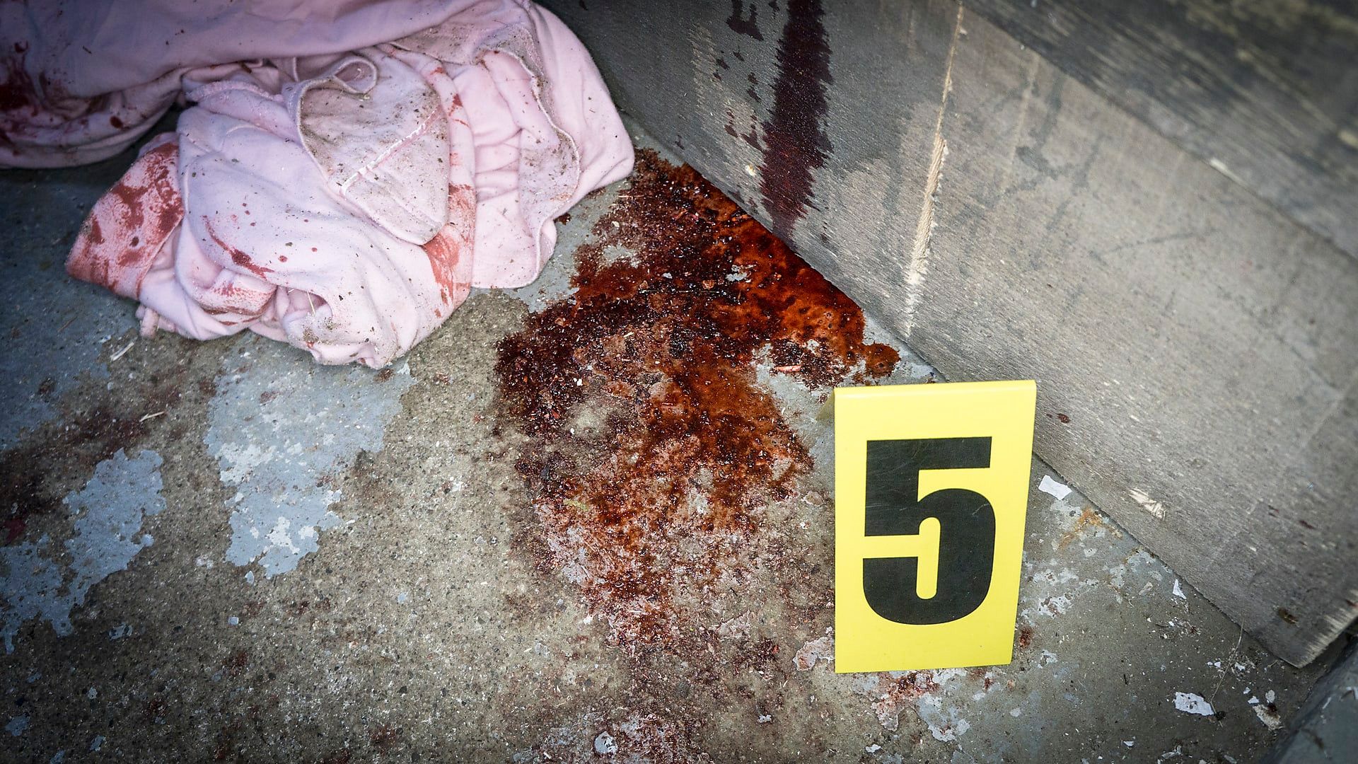 Paranormal Emergency background