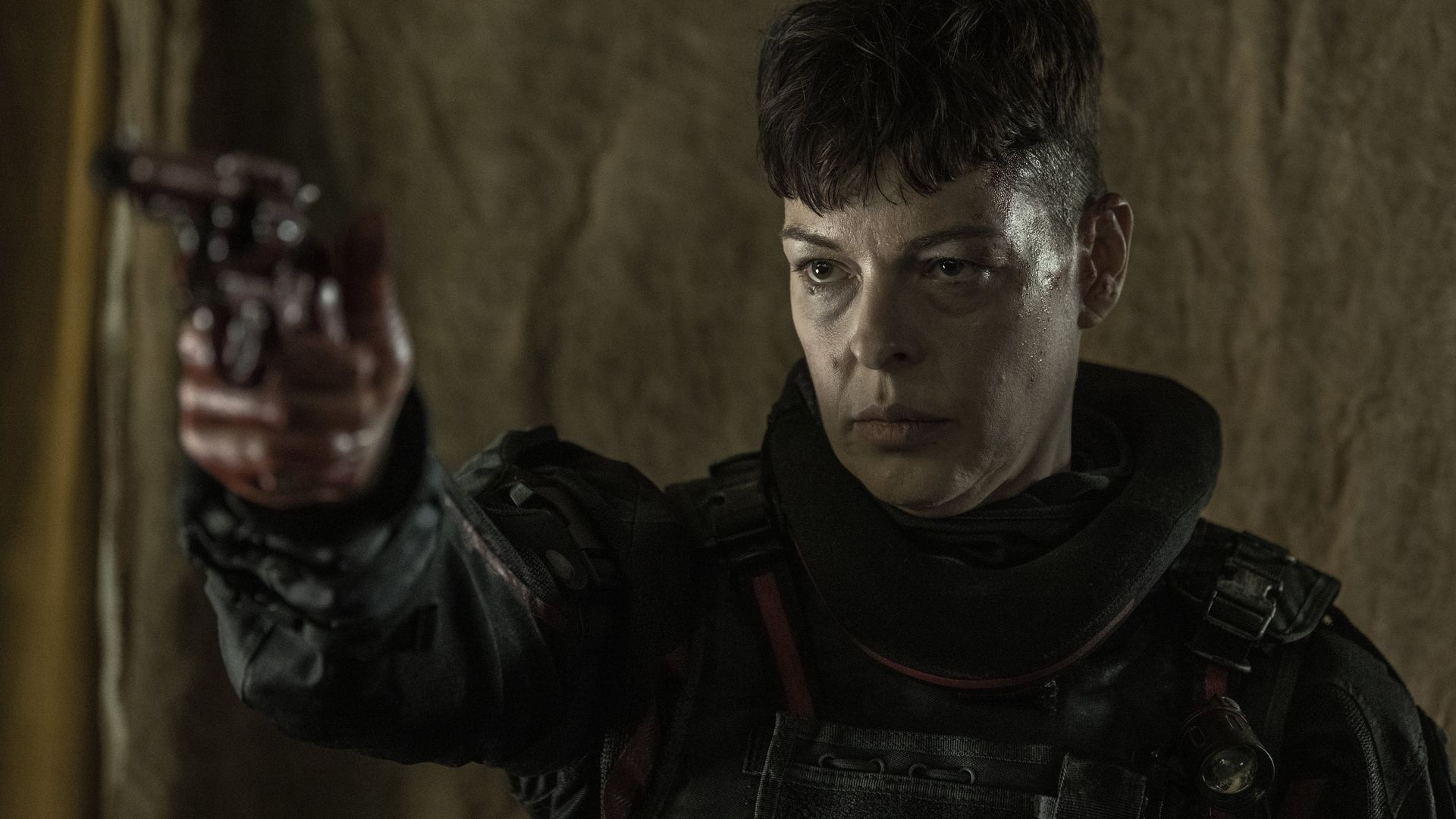 The Walking Dead: The Ones Who Live background