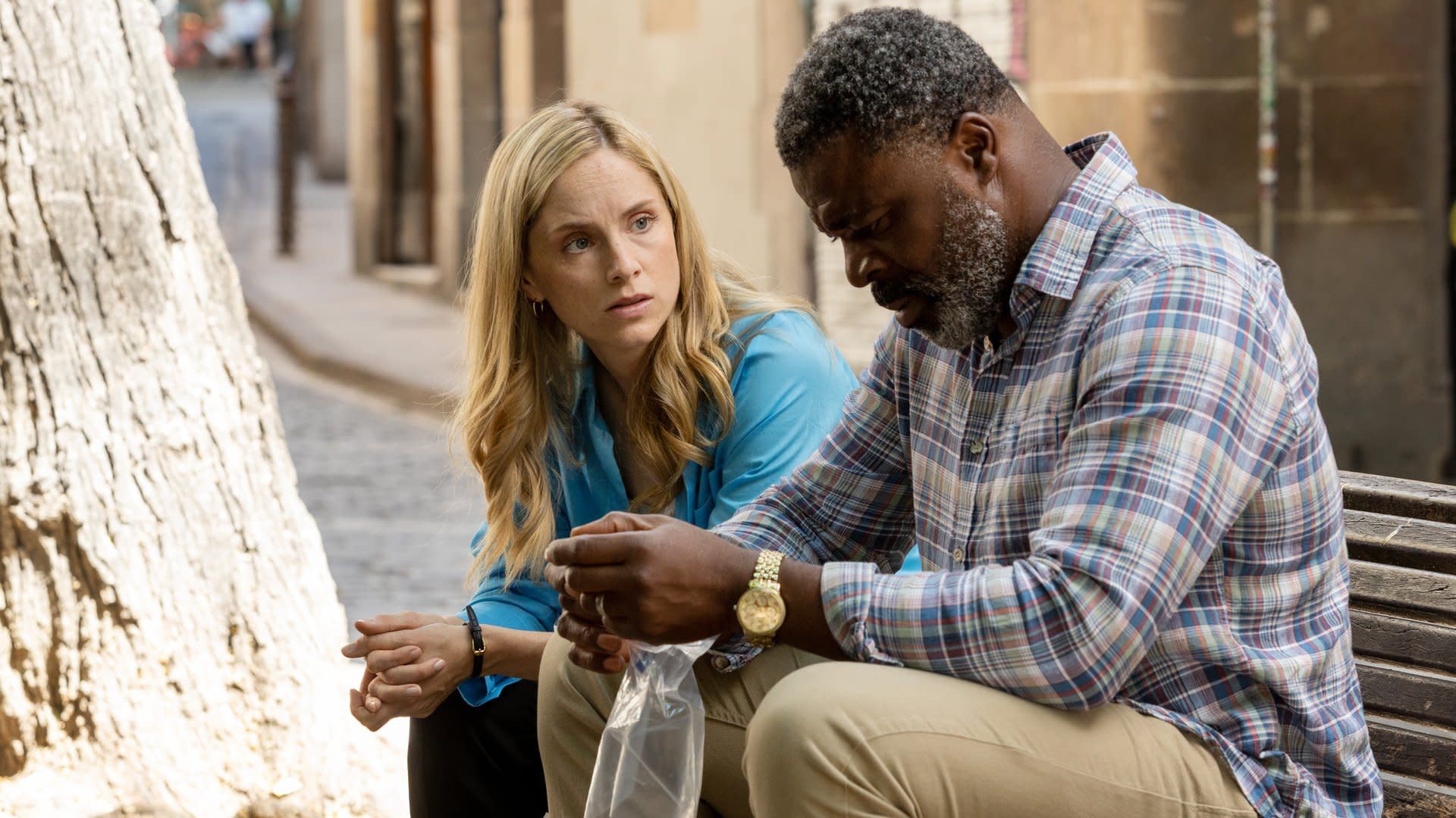 The Diplomat background