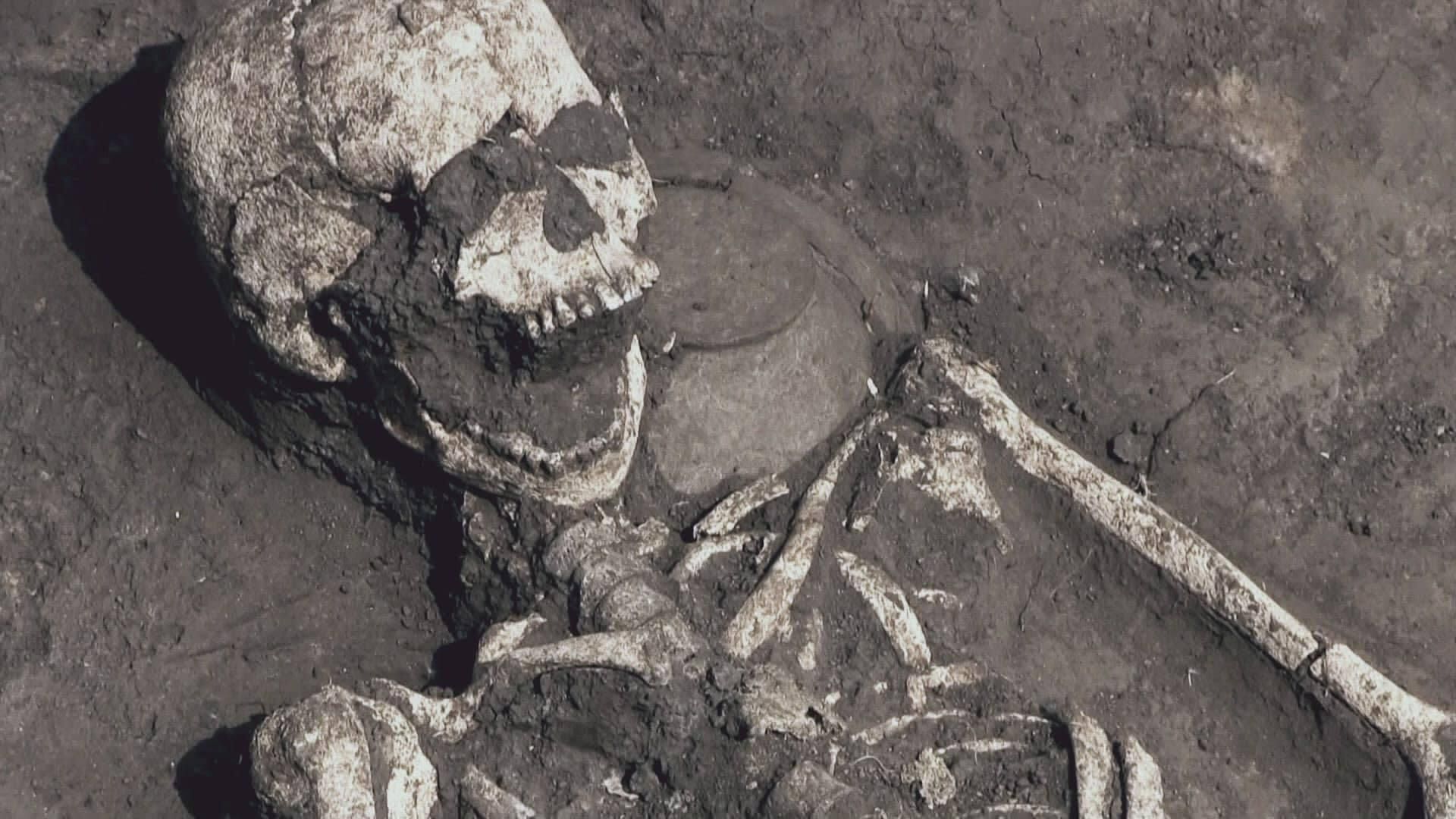 Ancient Unexplained Files background