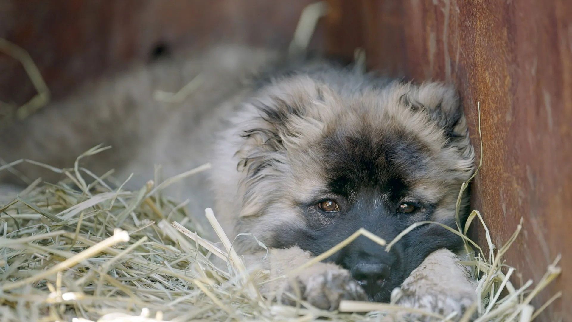 360° - Die GEO-Reportage background