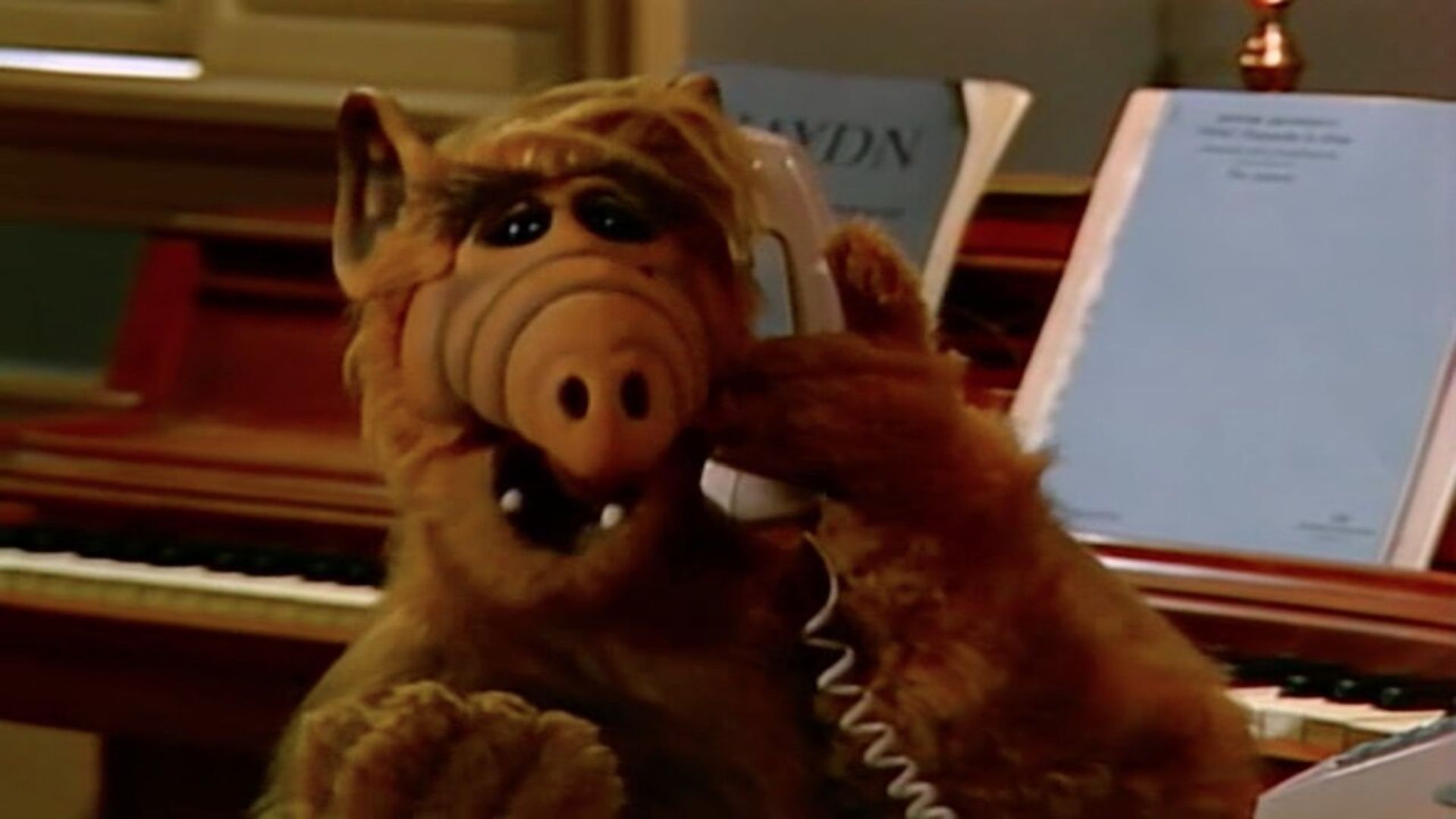 ALF background