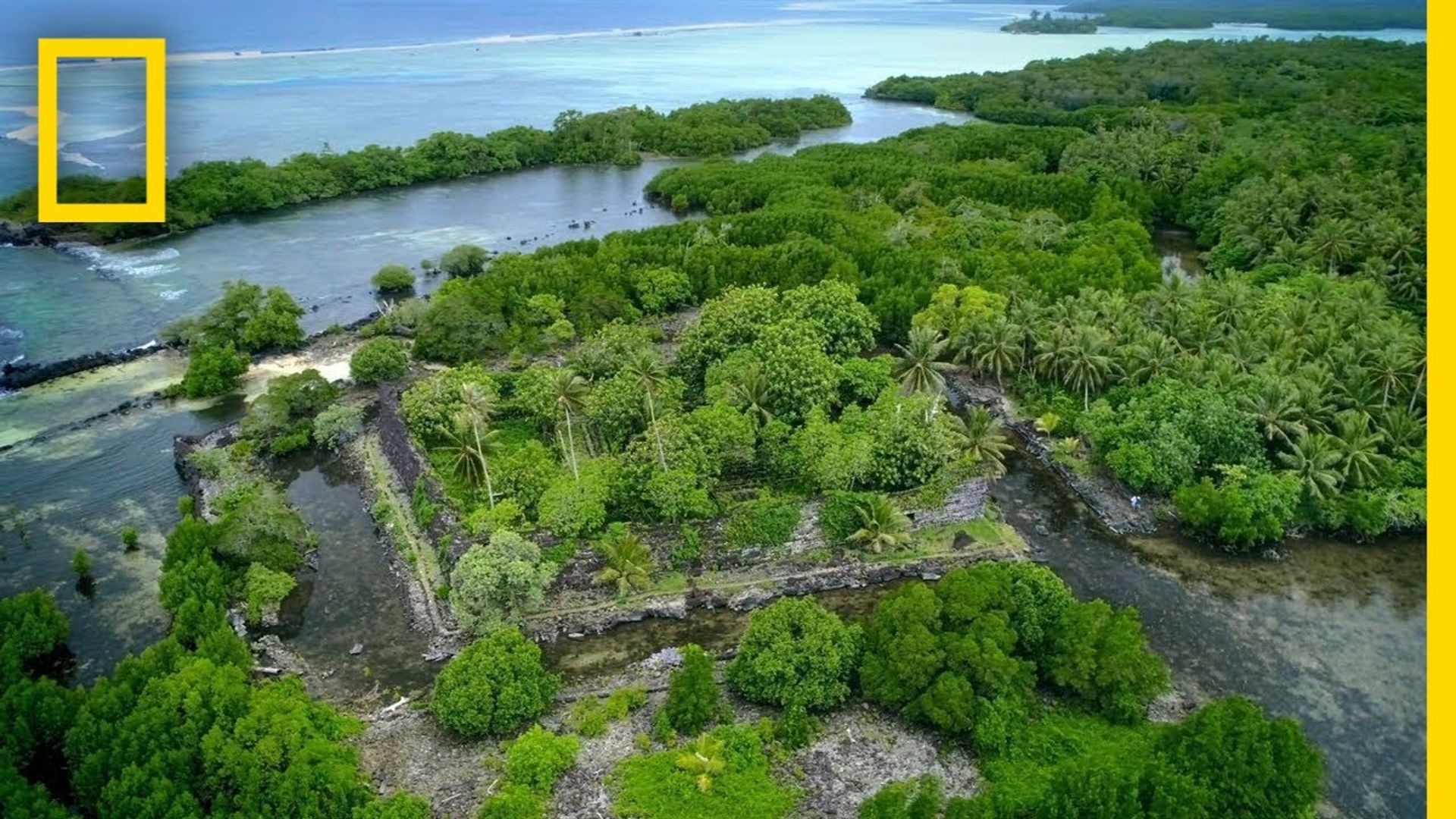 Lost Cities with Albert Lin background