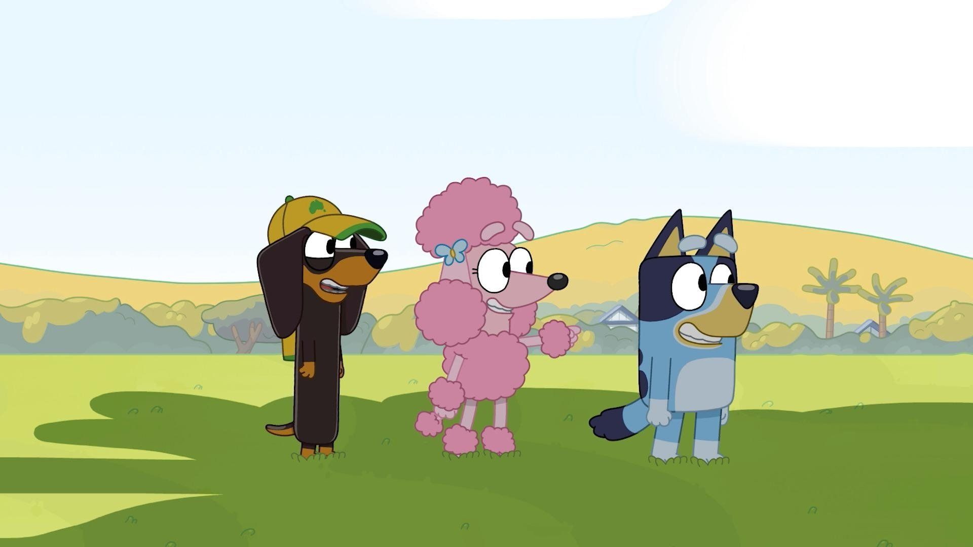 Bluey background