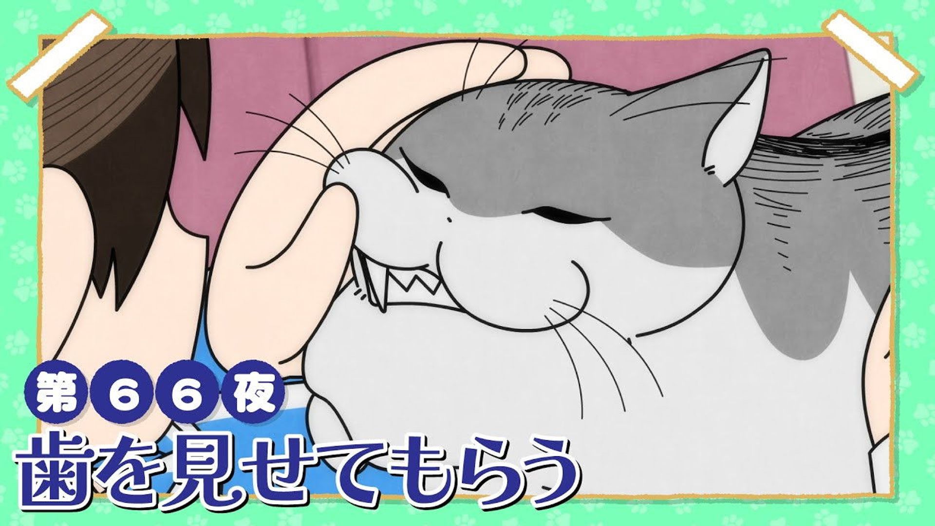 Yoru wa Neko to Issho background