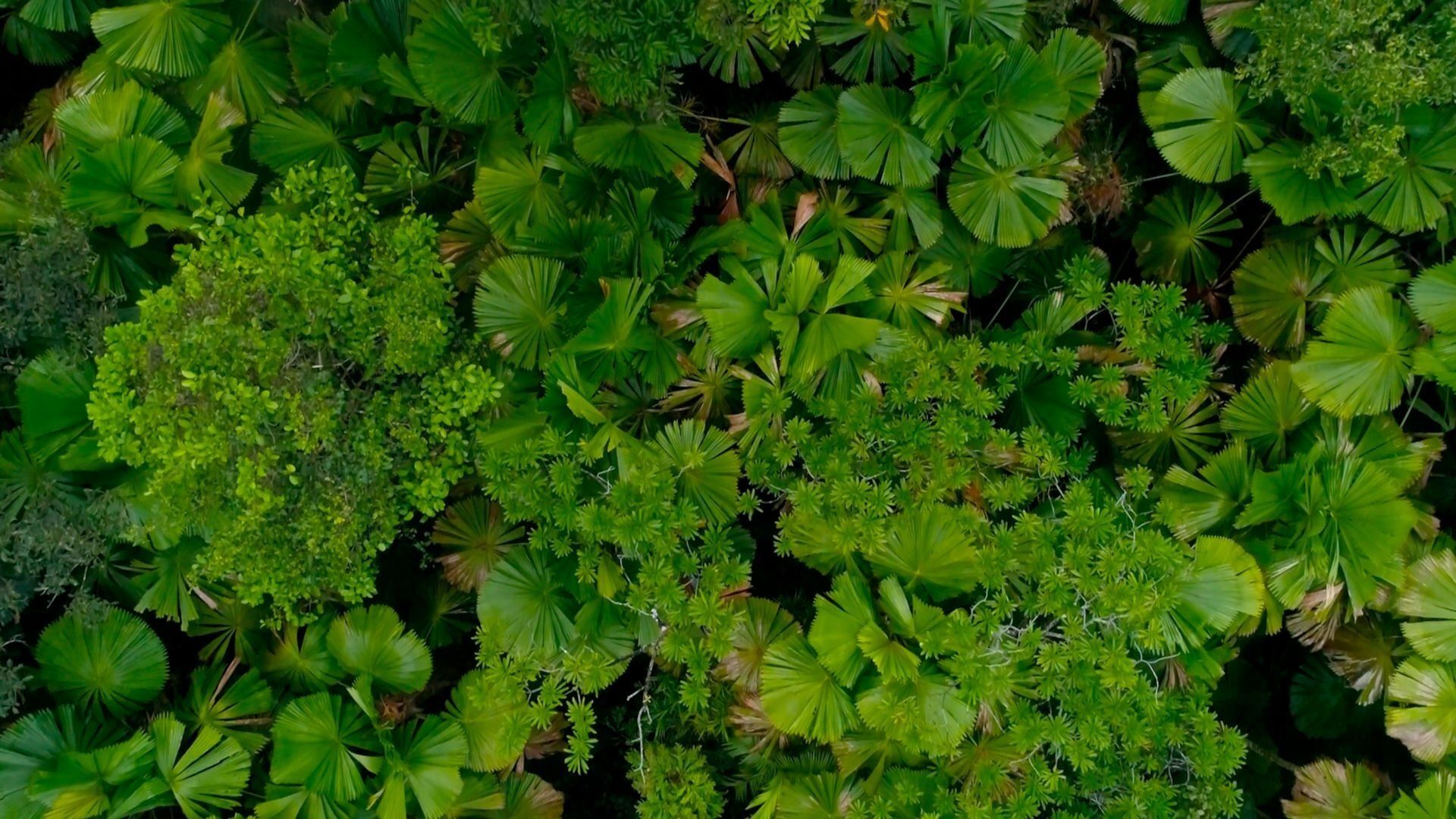 Earth Moods background