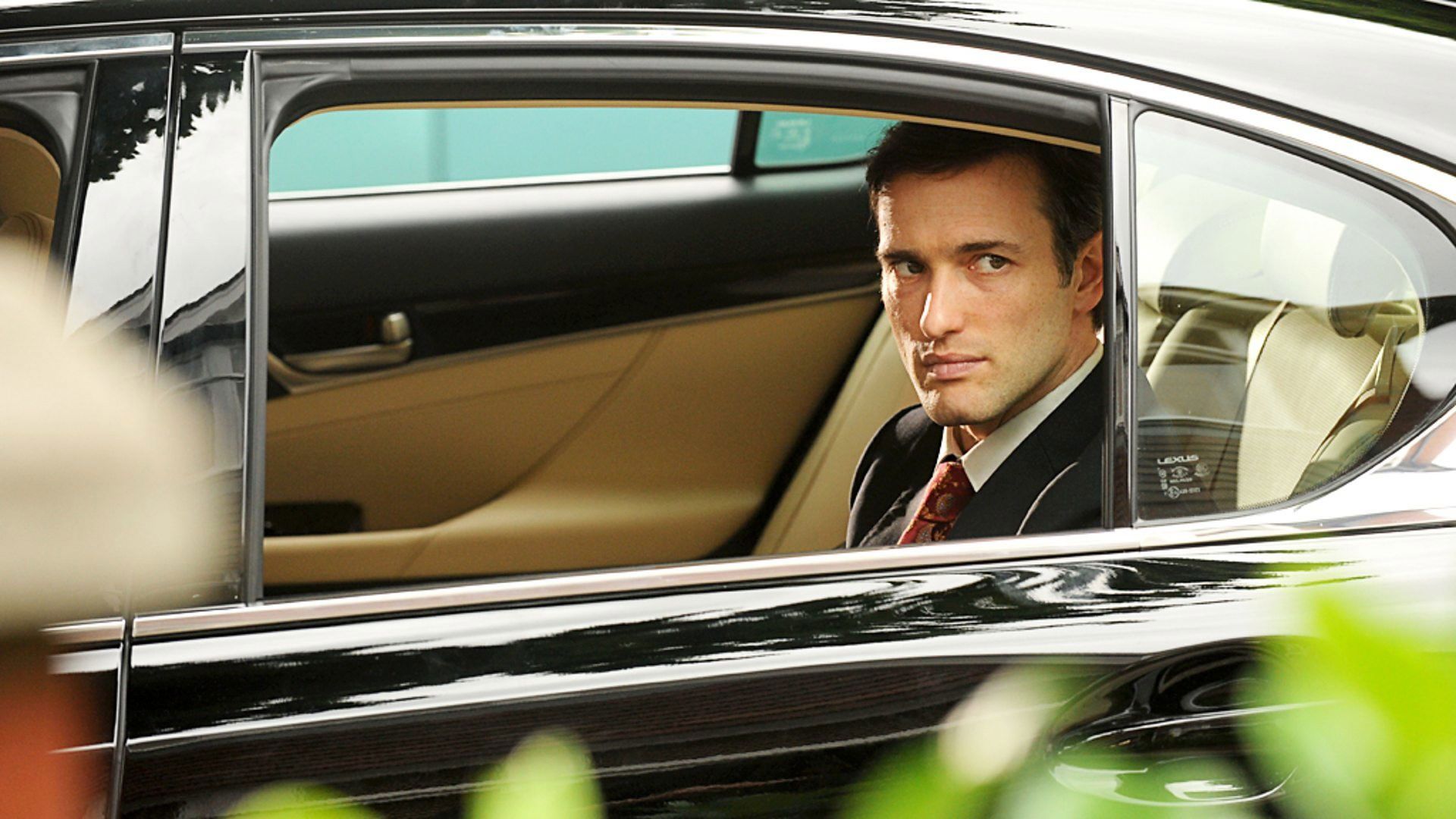 The Politician's Husband background