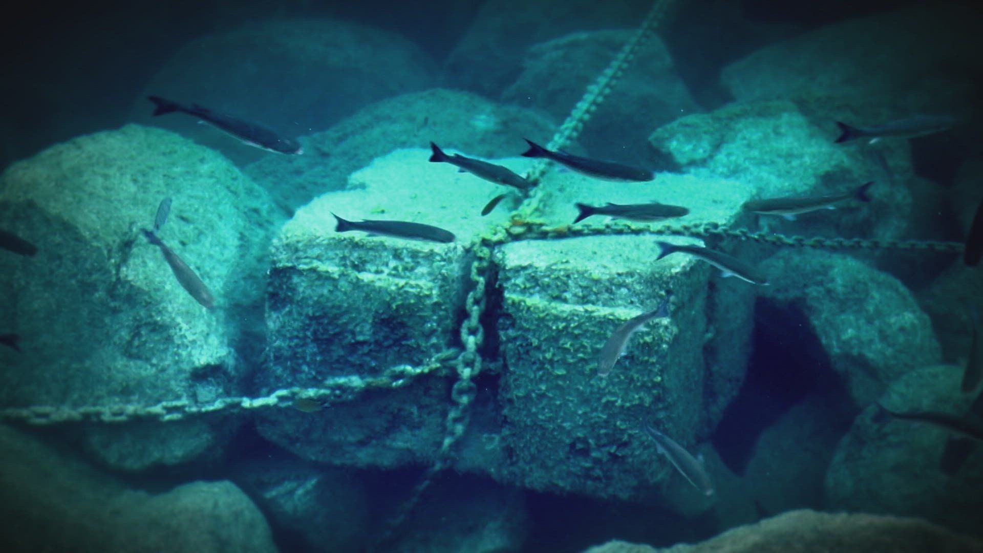 The UnXplained Special Presentation background