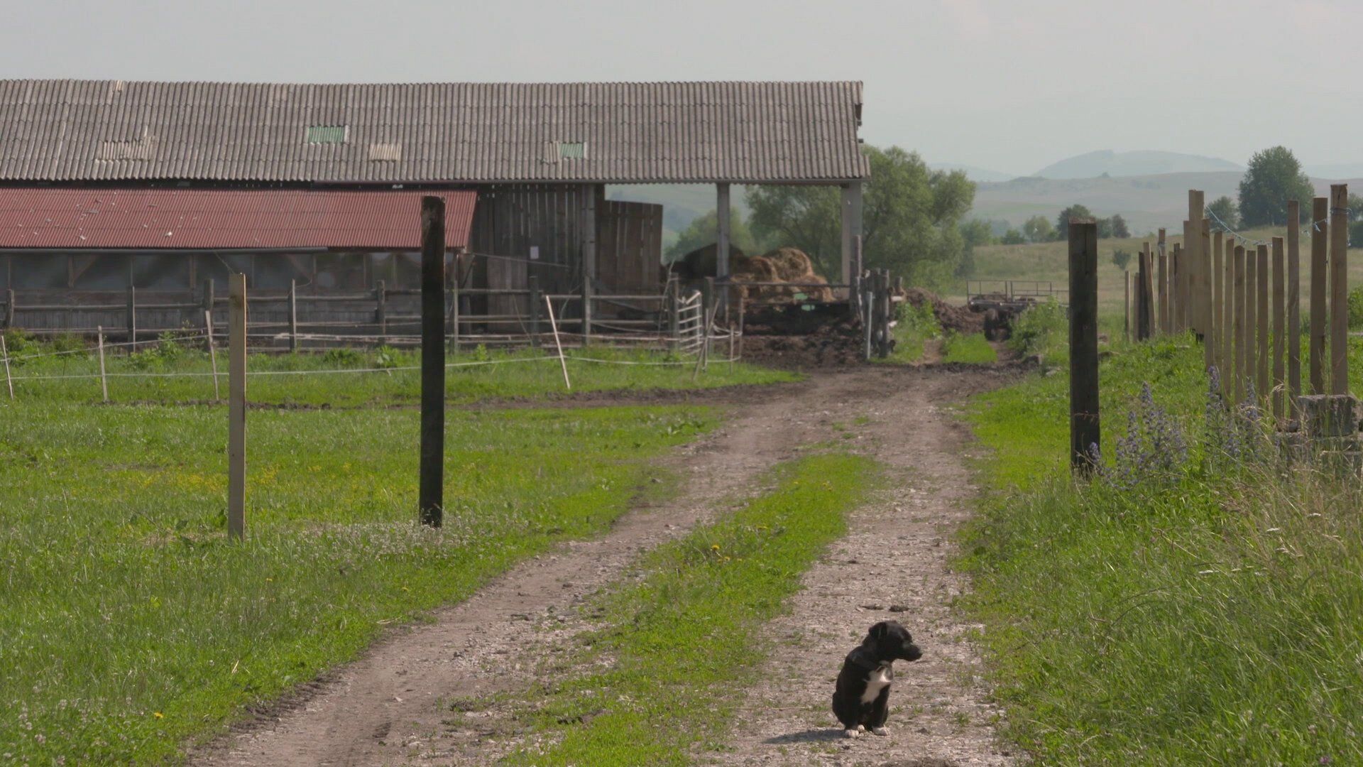 Flavours of Romania background
