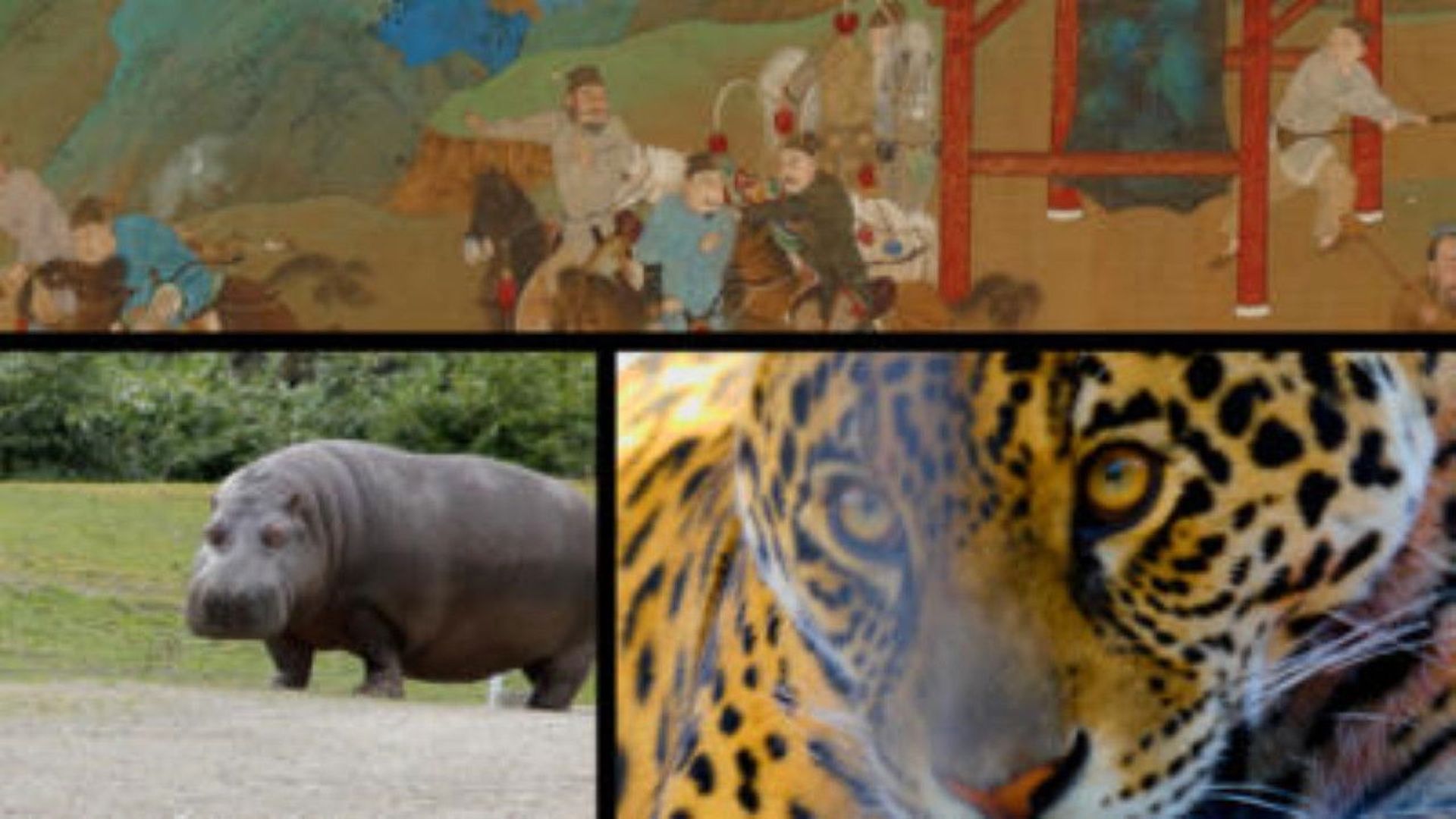 History's Crazy Rich Ancients background