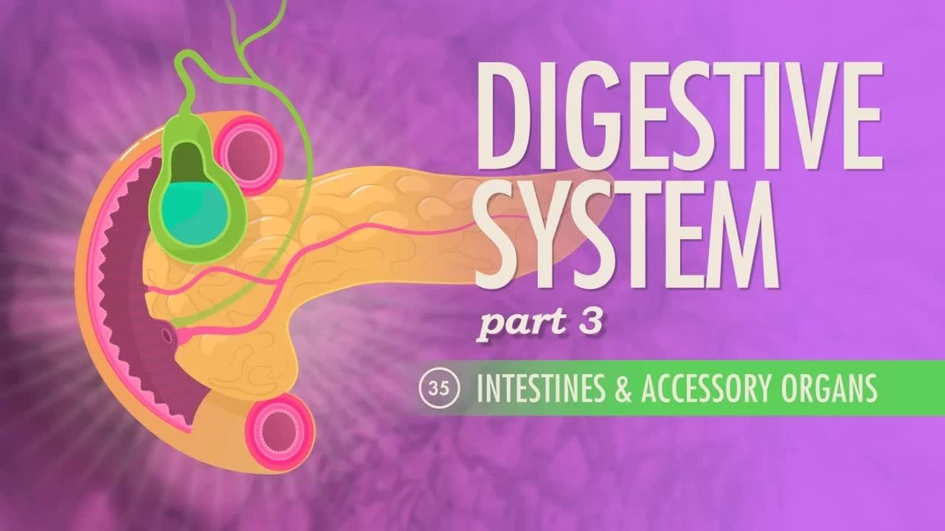 Crash Course: Anatomy & Physiology background
