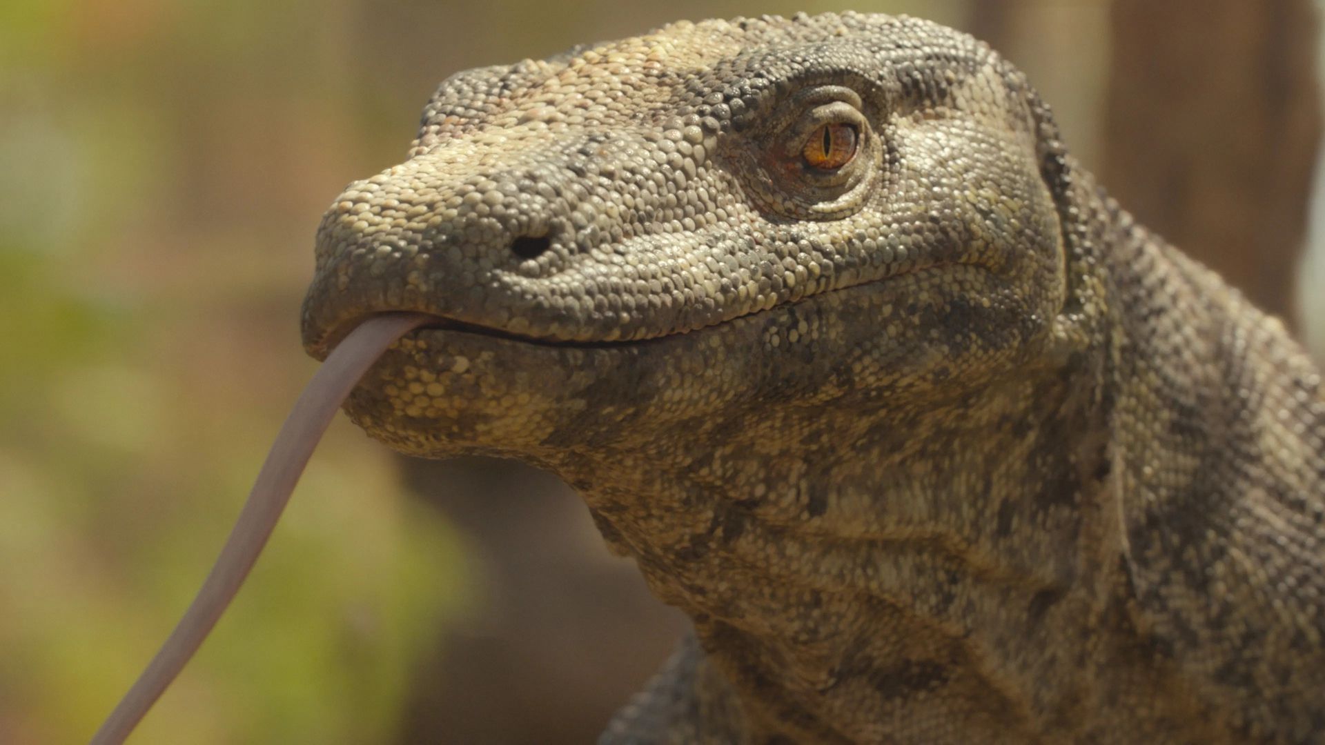 Prehistoric Planet background