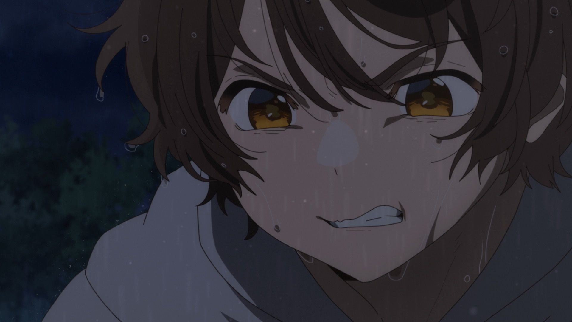 Protocol: Rain background