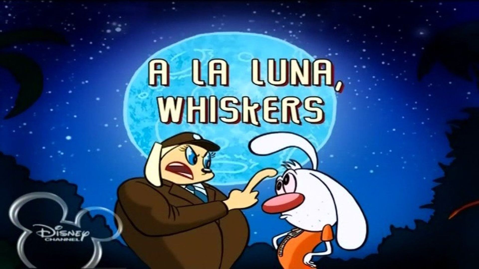Brandy & Mr. Whiskers background