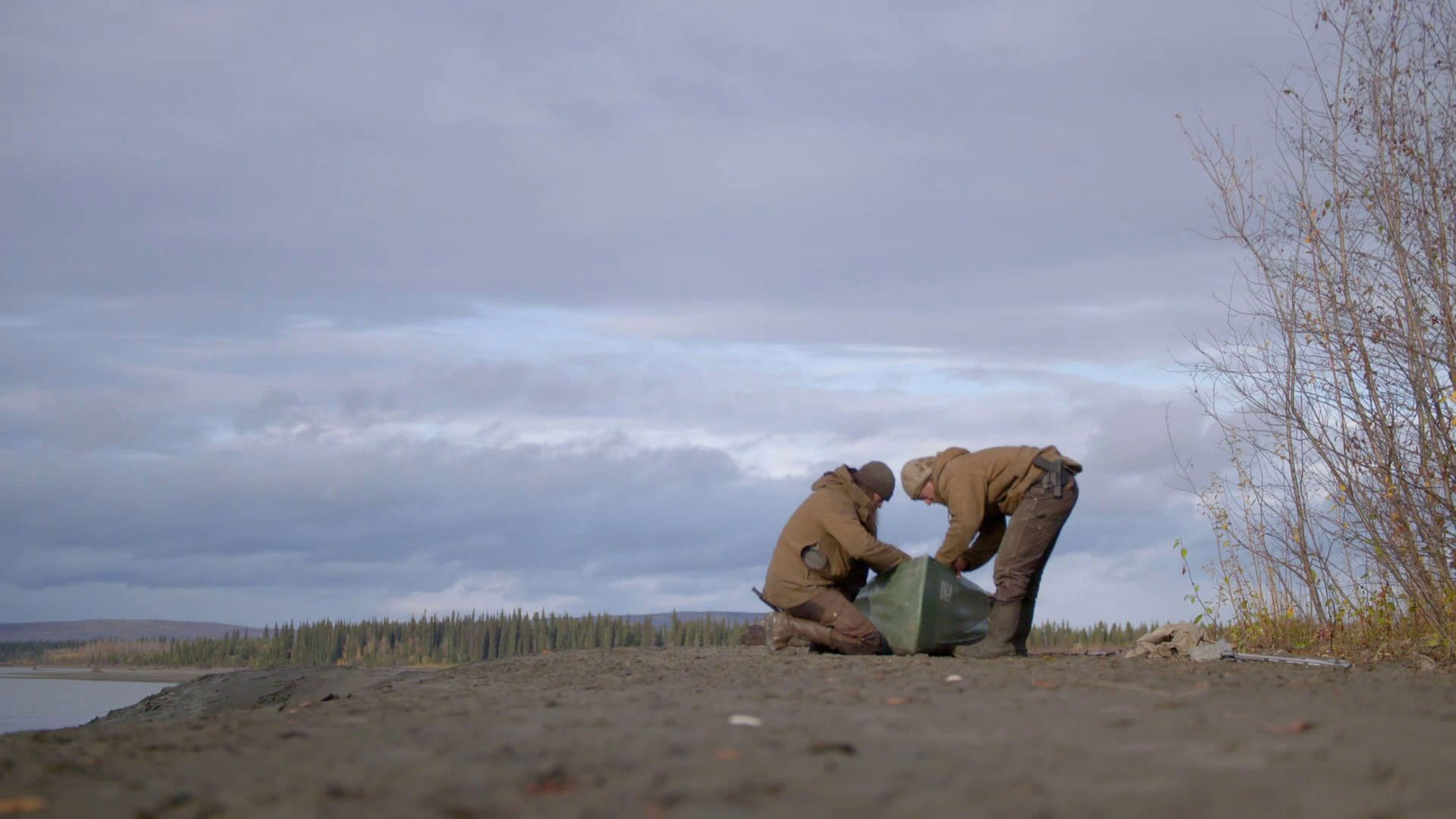 100 Days Wild background