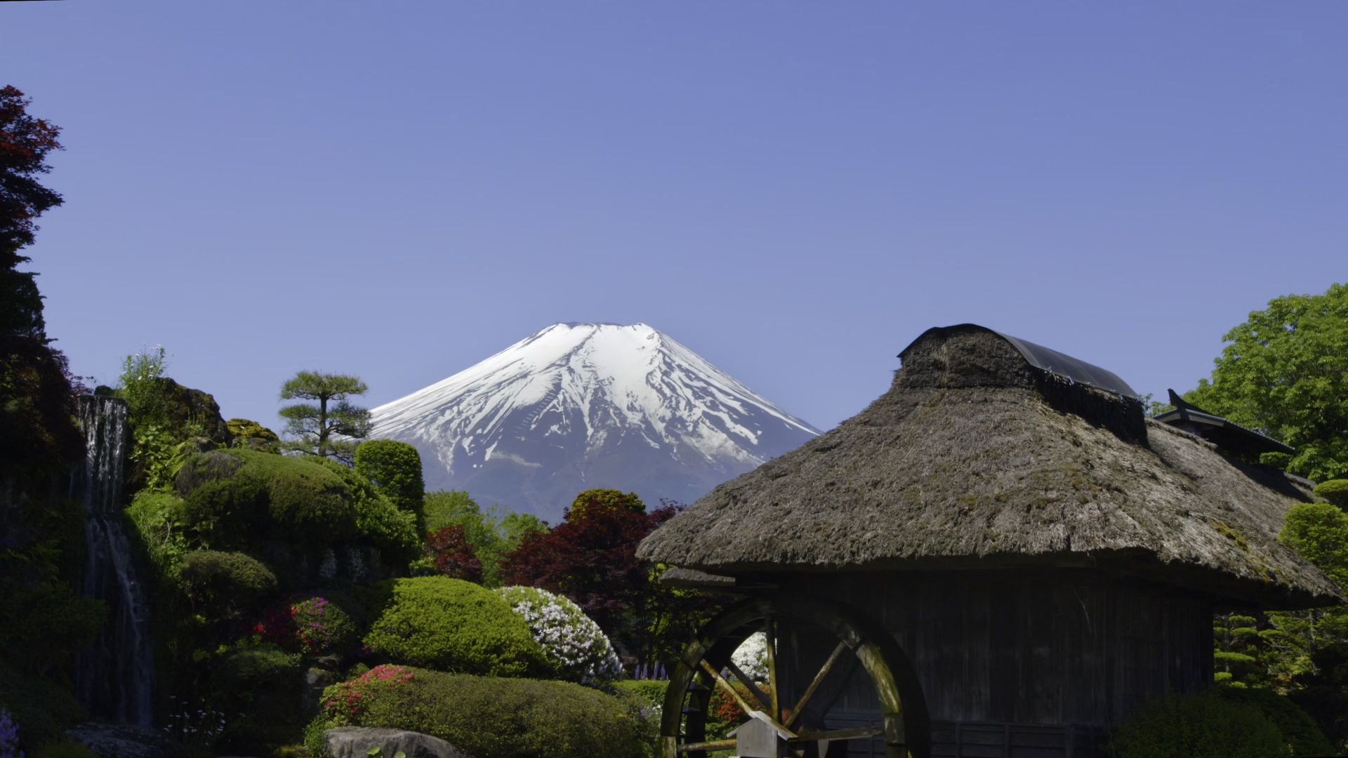 The World Heritage background