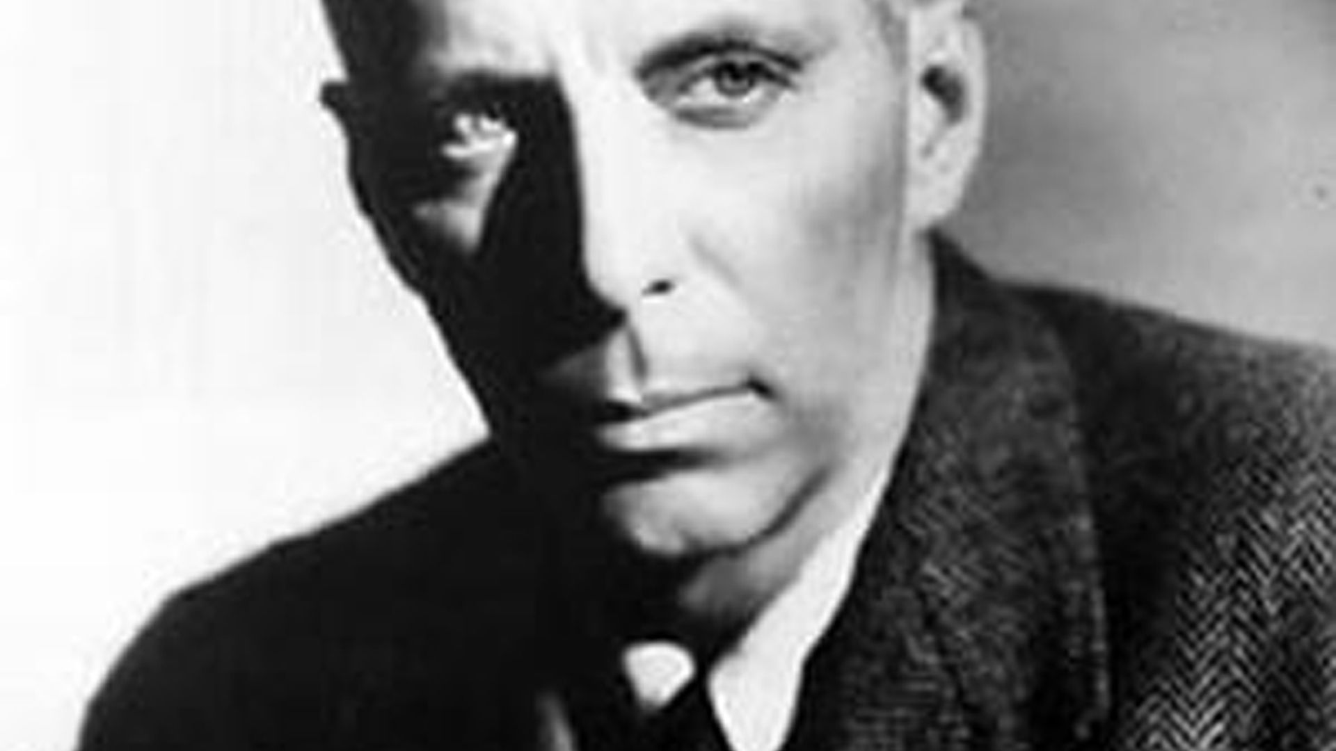 The Directors background